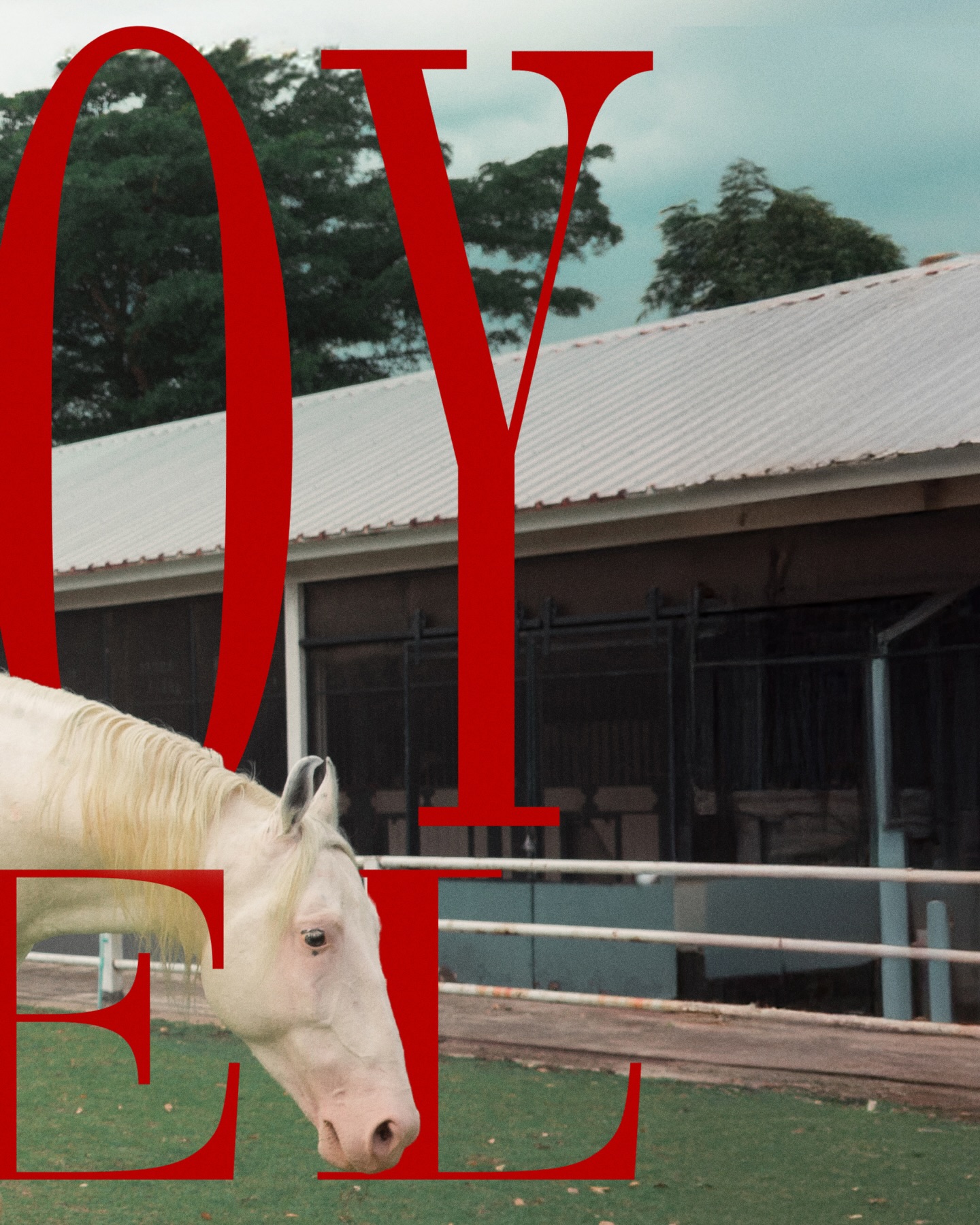 Can I be your Cowboy (Angel) ? 🪽🐎

PP KRIT - COWBOY ANGEL (AFTERGLOW VTR) 
YouTube: PP Krit Entertainment
: https://youtu.be/WDsx-XaywkA

#PPKritMyPleasureConcertAfterglow 
#PPKritMyPleasureConcert 
#PPKritt