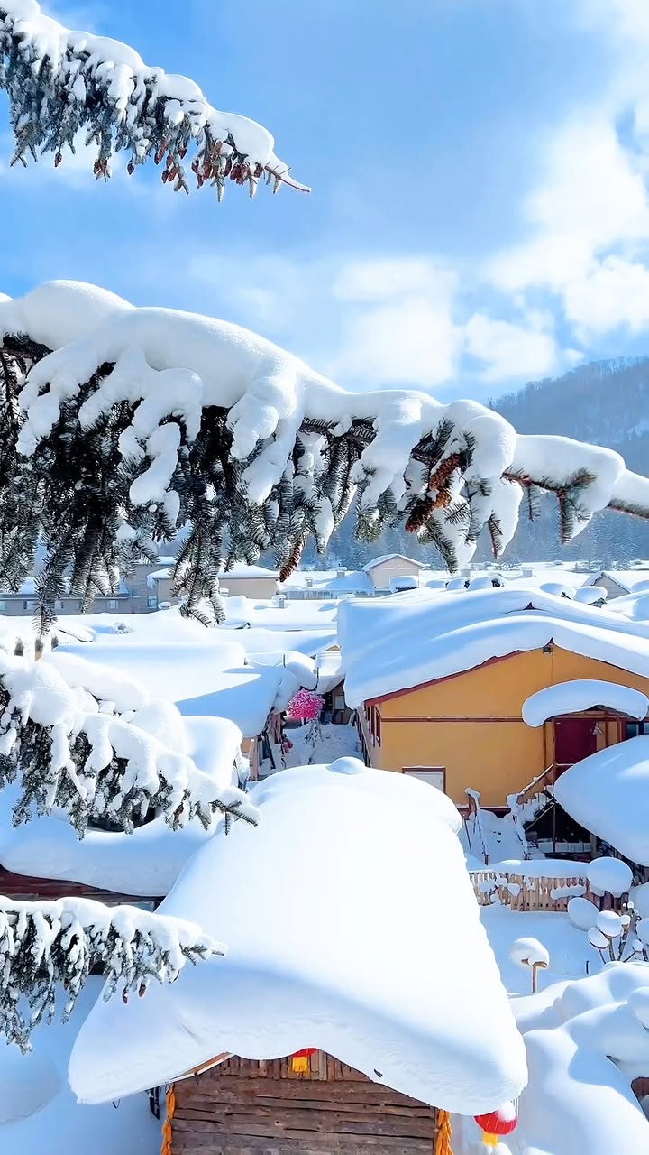 Harbin's Snow Town is so magical that it feels like stepping into a real-life fairy tale! ❄️

哈尔滨的雪乡美得像童话世界

#hellofrom  #chinadestinations #哈尔滨 #雪乡 #harbin
▪
📍Harbin, China
