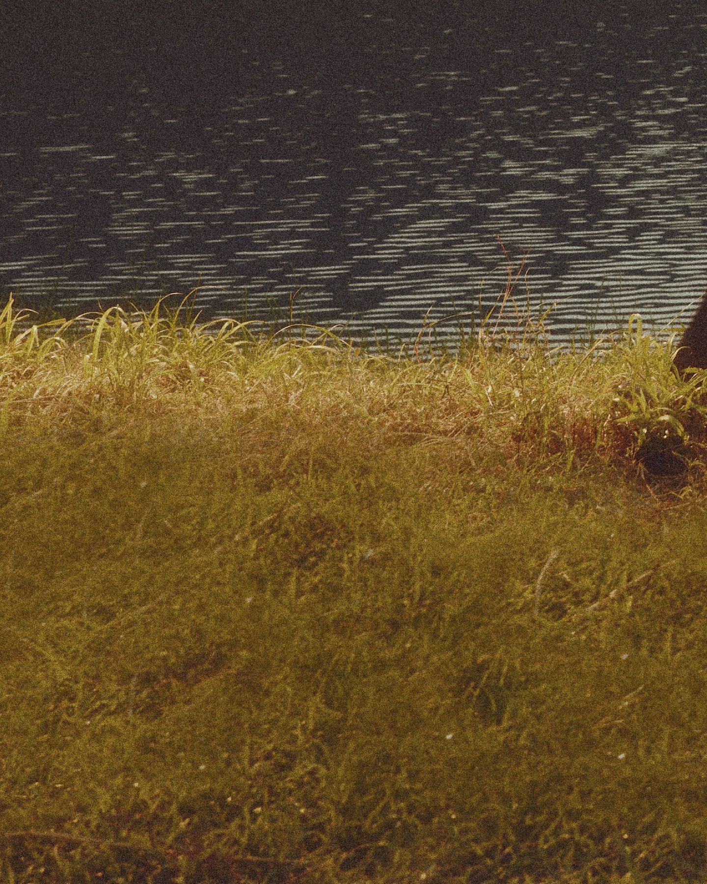 Just ‘Grow With The Flow’ 🍃

Digital Album Release on 26 November 2025 

🎧 Hit the Pre-save/add Streaming link for BILLKIN ’Grow With The Flow‘ Album
: https://billkin.lnk.to/GrowWithTheFlowAlbum 

#GrowWithTheFlowAlbum
#BillkinEntertainment #Bbillkin