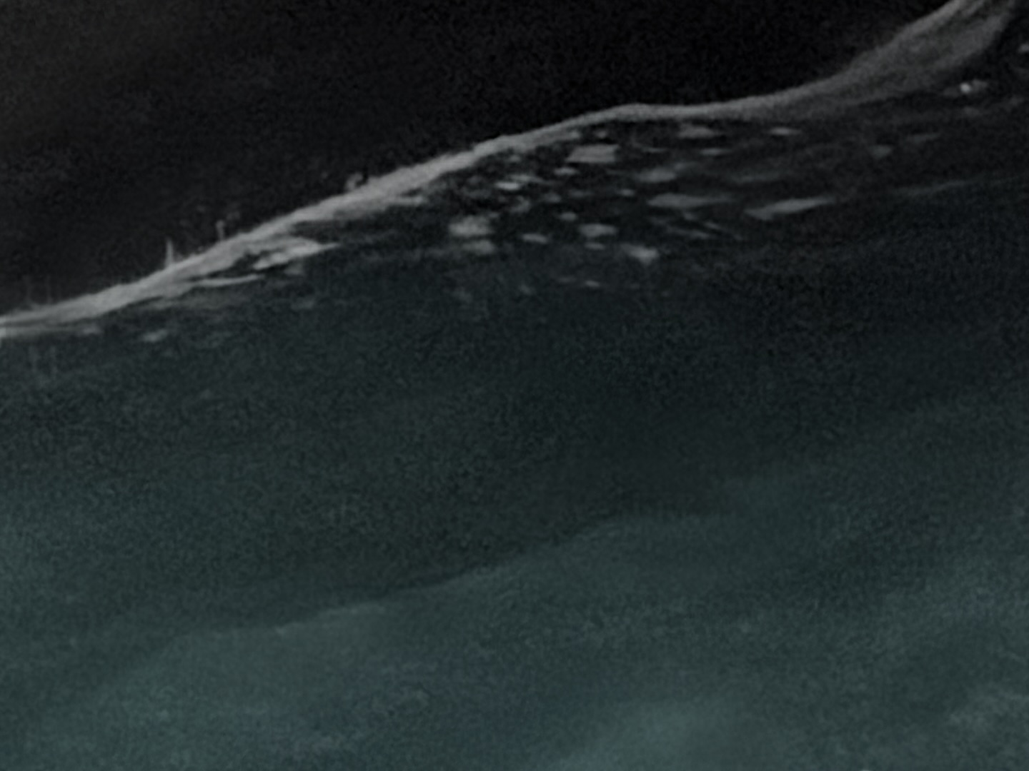 01 Something’s in the Water