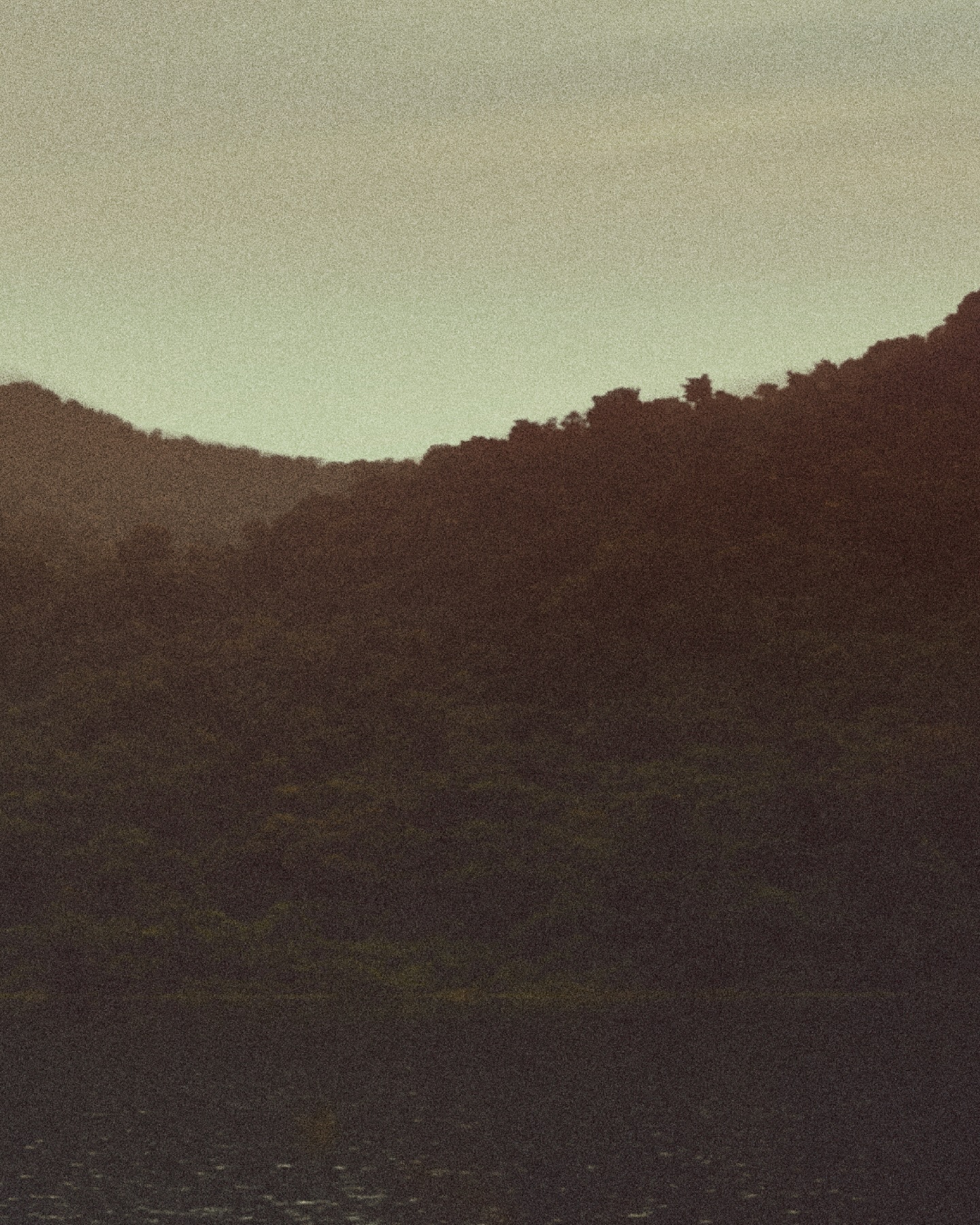 Just ‘Grow With The Flow’ 🍃

Digital Album Release on 26 November 2025 

🎧 Hit the Pre-save/add Streaming link for BILLKIN ’Grow With The Flow‘ Album
: https://billkin.lnk.to/GrowWithTheFlowAlbum 

#GrowWithTheFlowAlbum
#BillkinEntertainment #Bbillkin