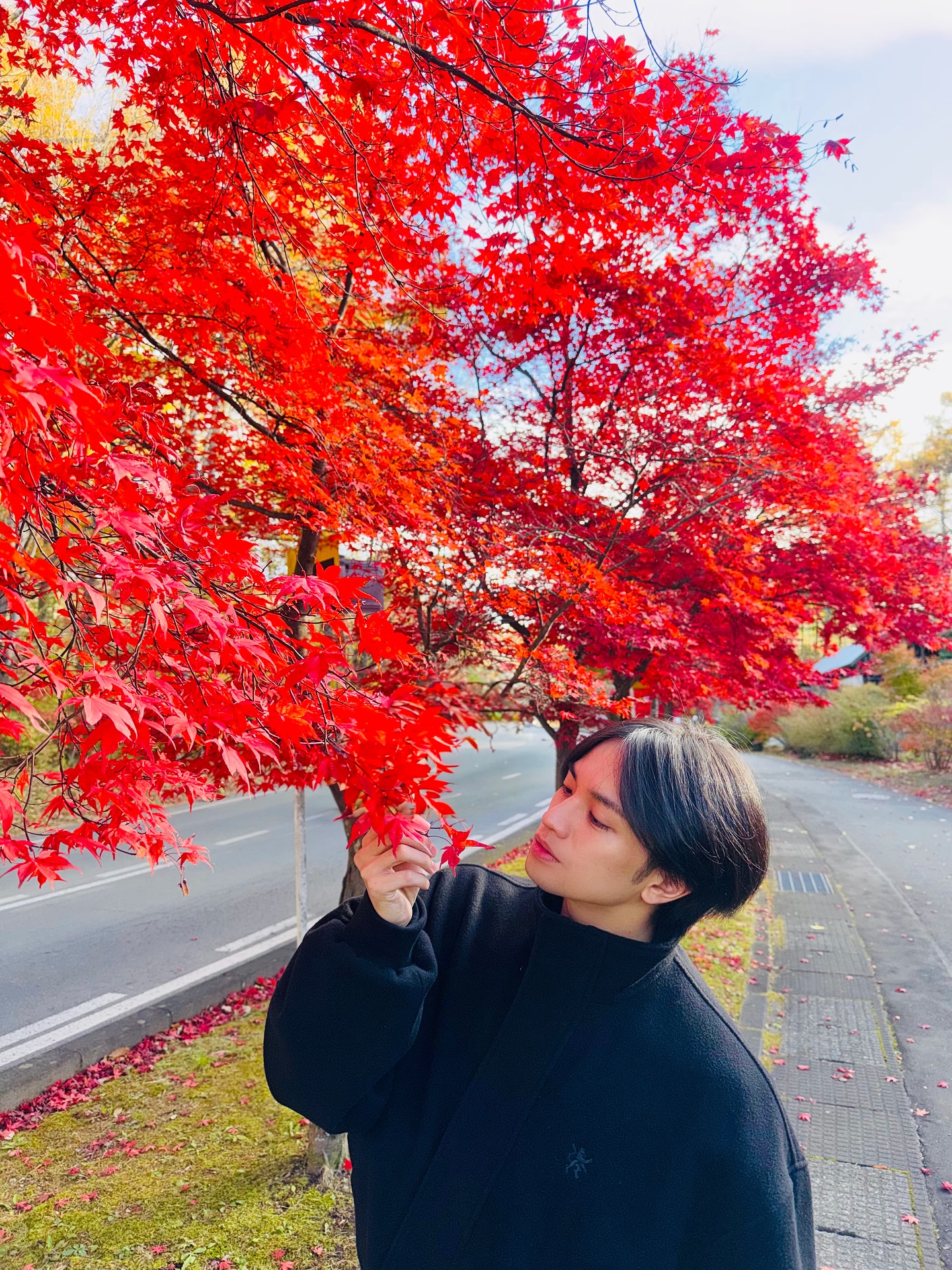 そういえば秋🍁

#Autmunleaves