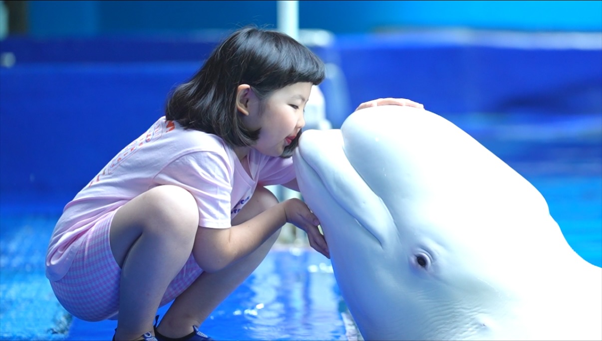 急不及待想同大家分享上星期去三亞同小白鯨親親嘴嘅互動! 小白鯨真係超可愛😍😍😍 聽日會同大家分享更多開心嘅片段🫶🏻 @atlantis_sanya