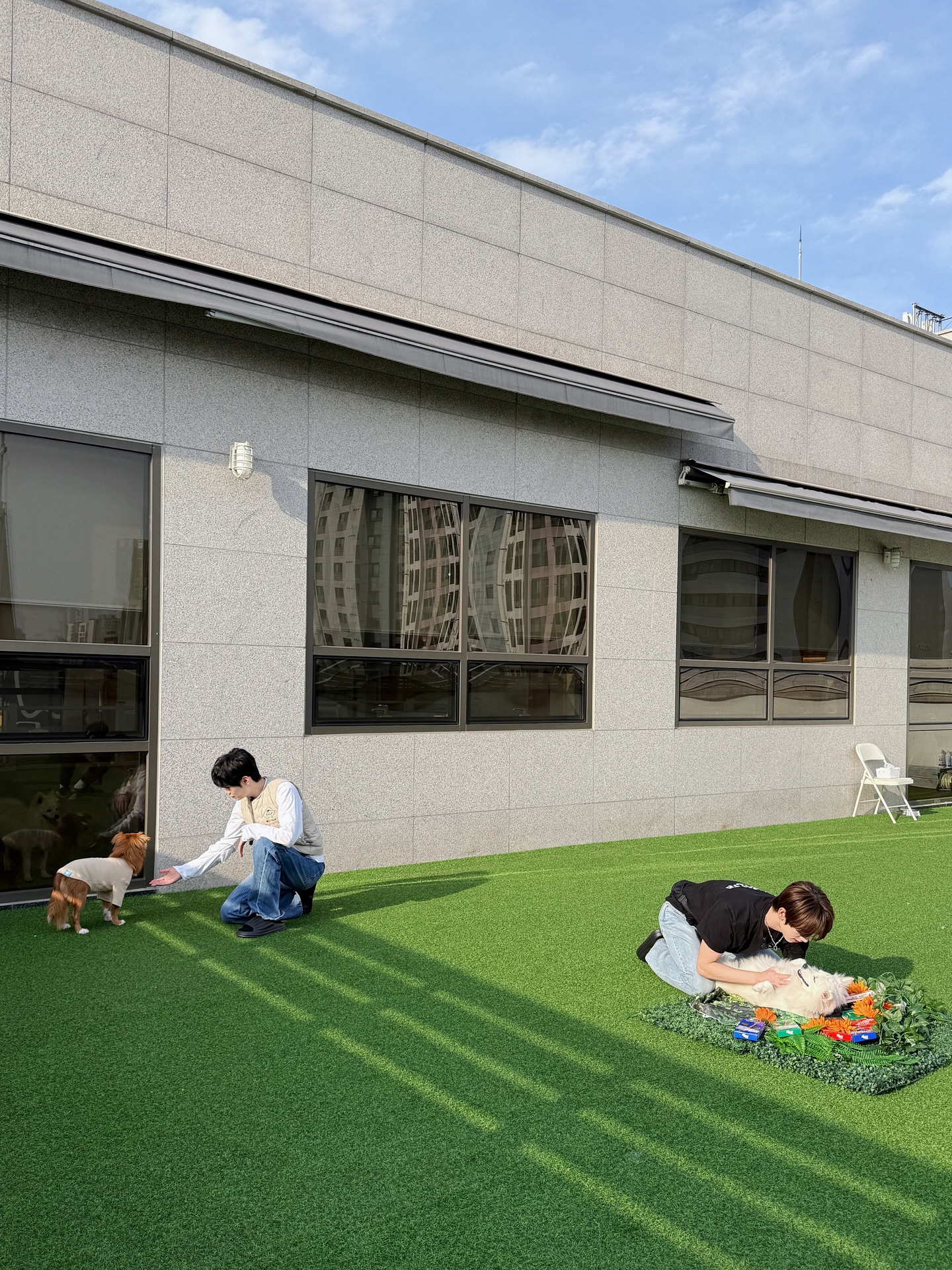 태래랑 유진이랑 제티랑 헤이랑 🐾

#ZEROBASEONE #ZB1 #제로베이스원
#KIMTAERAE #HANYUJIN #김태래 #한유진