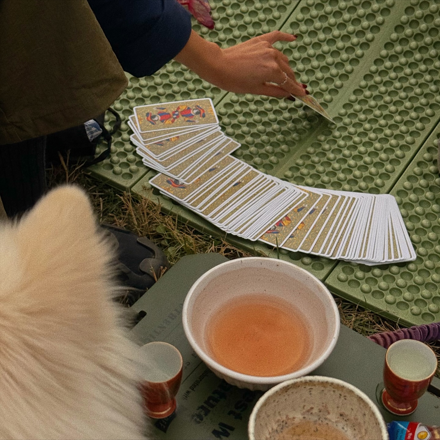 이번 가을 ‘하고 싶은 리스트’ 1번이 바로 캠핑이었는데… 드디어 성공! 🏕️

할로윈 주말에 두 명의 염서자리 언니들 + 우리 영혼의 안내자 하쿠 🐺🤍랑 같이 숲 속에서 작은 우주를 만들고 왔어요. 

차를 끊임없이 끓여 마시고, 타로 펼치고, 나뭇잎 흔들리는 소리만 듣는 시간들… 말 그대로 힐링 그 자체.
행사를 열어주신 @_kolonsport 덕분에 꿈에 그리던 백팩과 완벽한 초록 비니까지 겟! 🫛💚

I made a list of things I want to do this fall and number one thing was - camping 🏕️ 
Gathered on a Halloween weekend with two of my Capricorn sisters and our spiritual guide pomski Haku 🐺🤍 we drank lots of tea, did tarot readings and observed nature around us. Magical time! 

Event was hosted by @_kolonsport and I ended up buying the backpack of my dreams and a green beanie.🫛