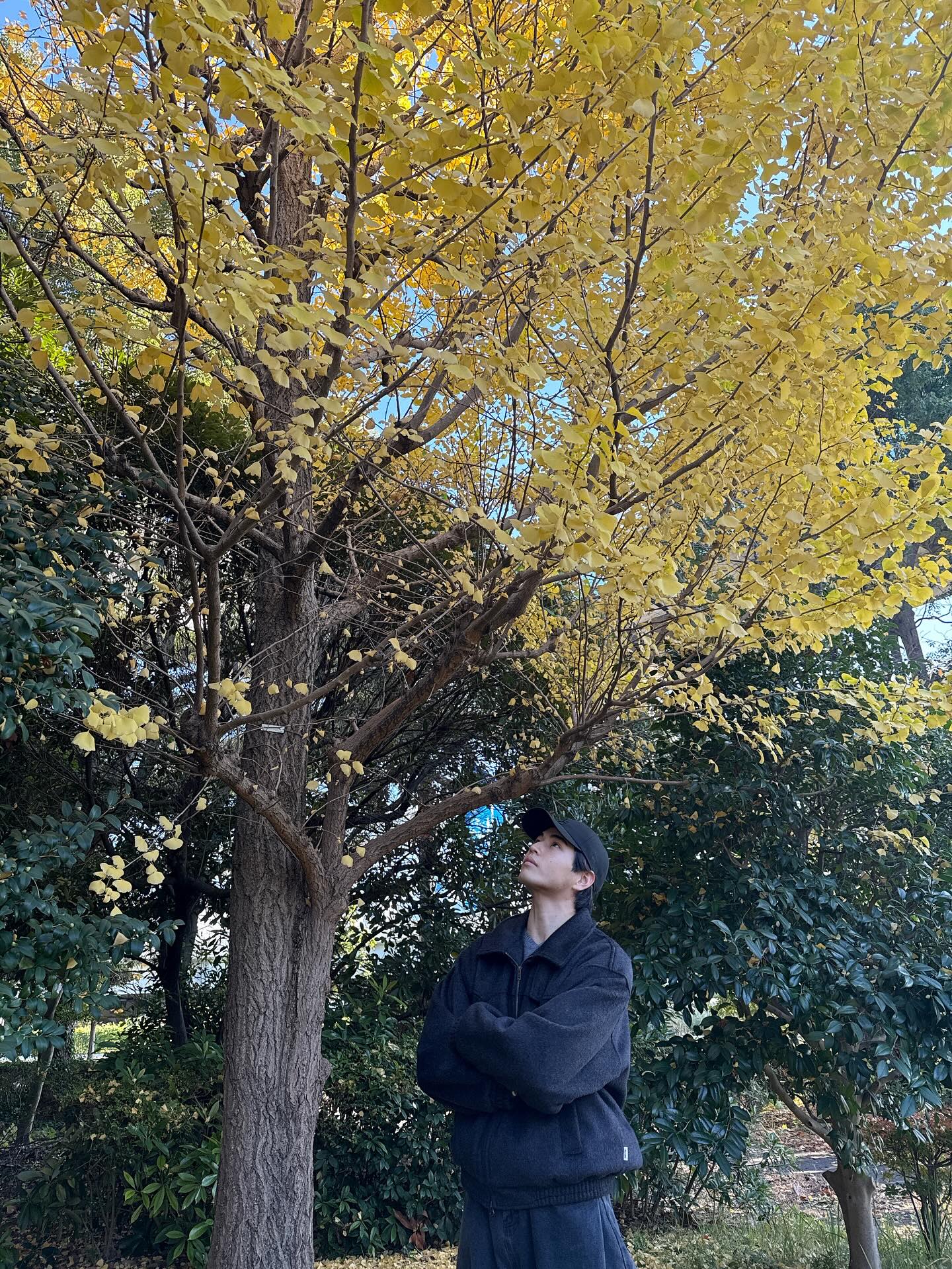 .
12月！
時間が過ぎるのが早過ぎてびっくりしております。。

本日も舞台「シッダールタ」
ありがとうございました！

1日1日を大切に、一瞬一瞬を大切に、
12月も駆け抜けていきたいと思います！

風邪に気をつけて、今月も頑張りましょう〜

#シッダールタ