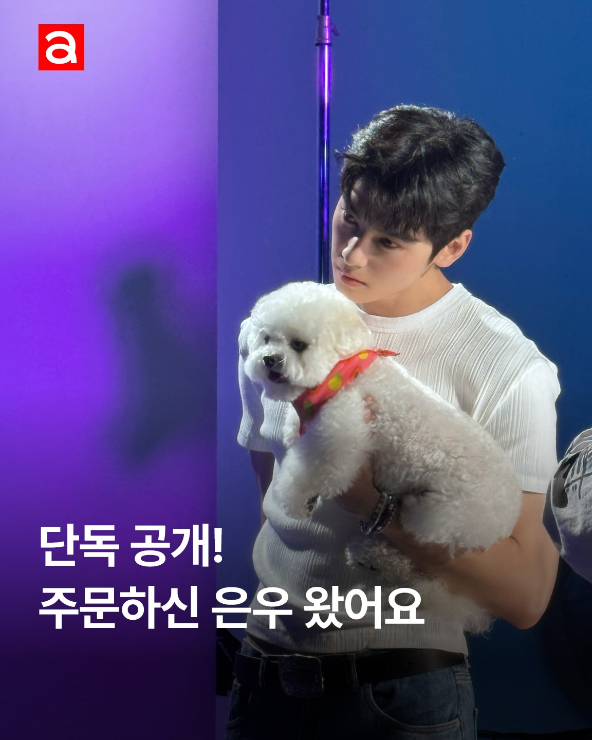 ⚠️속보⚠️ 오늘 오후 1시에 공개된 차은우의 ‘Sweet Papaya’ 비하인드 컷을 입수했습니다. 반려견 동동이와 함께한 현장을 공유합니다! 군백기... 그게 도대체 뭐죠?🥹🩷

EDITOR | 황선미 
ASSISTANT | 차민서

@offcl_chaeunwoo @eunwo.o_c #차은우 #chaeunwoo #SweetPapaya #스윗파파야