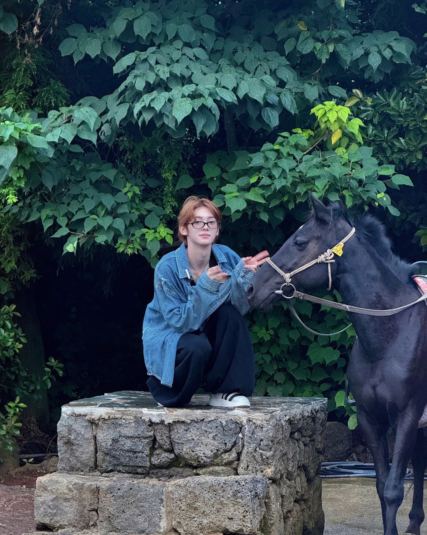 첫 제주도 여행 짱 좋았음, 계획 대로 완전 잘 놀았음!

#HANJIN #한진
#TWS #투어스 #247WithUs