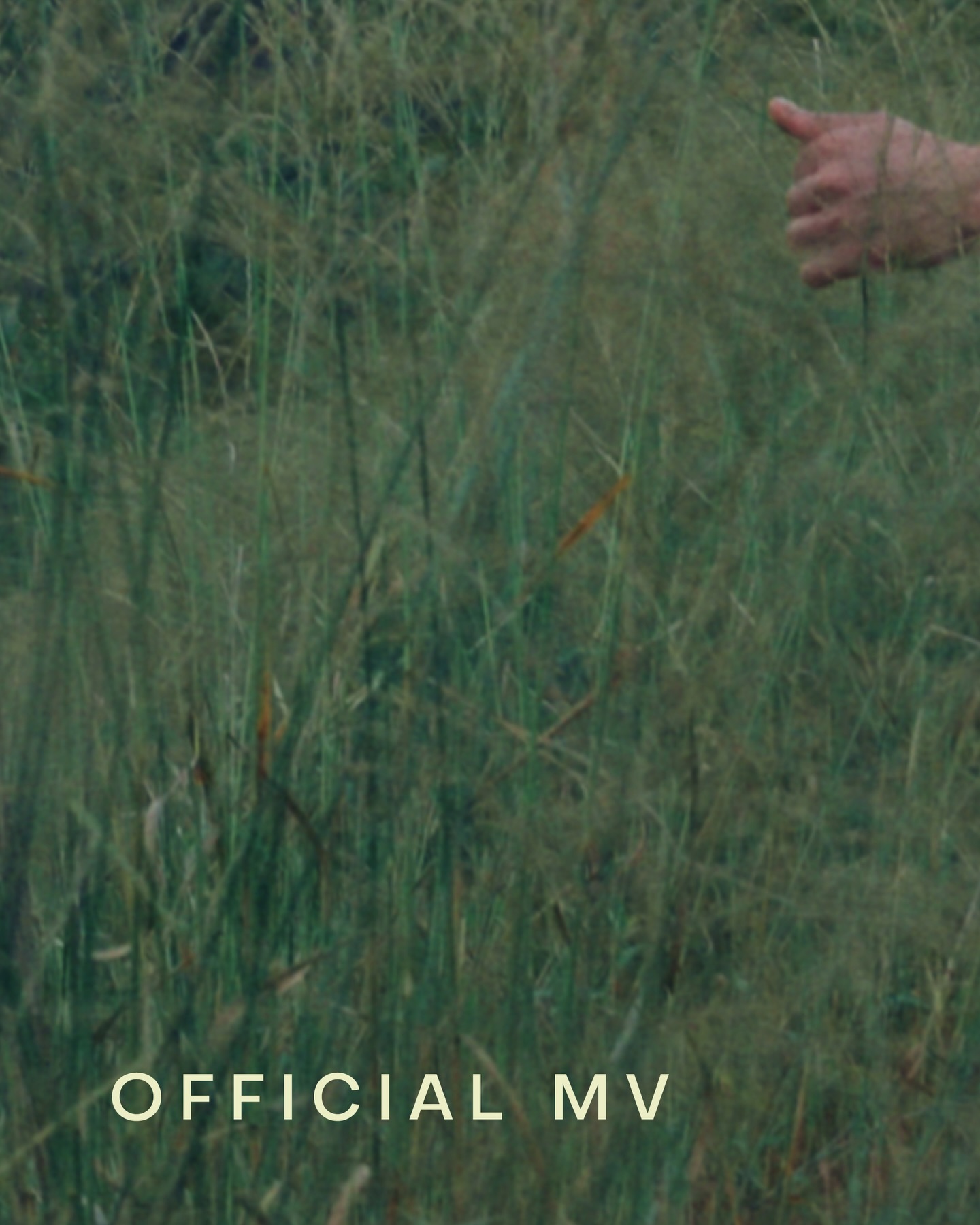 Cos, Nobody knows, so we just grow with the flow ~ 🍃 #GrowWithTheFlow_MV

BILLKIN - Grow With The Flow - Official MV Out Now!
YouTube: Billkin Entertainment
: https://youtu.be/TFWNC4S0mwE 

#GrowWithTheFlow
#Bbillkin 

——
🎧 Streaming Platforms
: https://billkin.lnk.to/GrowWithTheFlow 
: https://billkin.lnk.to/GrowWithTheFlowAlbum