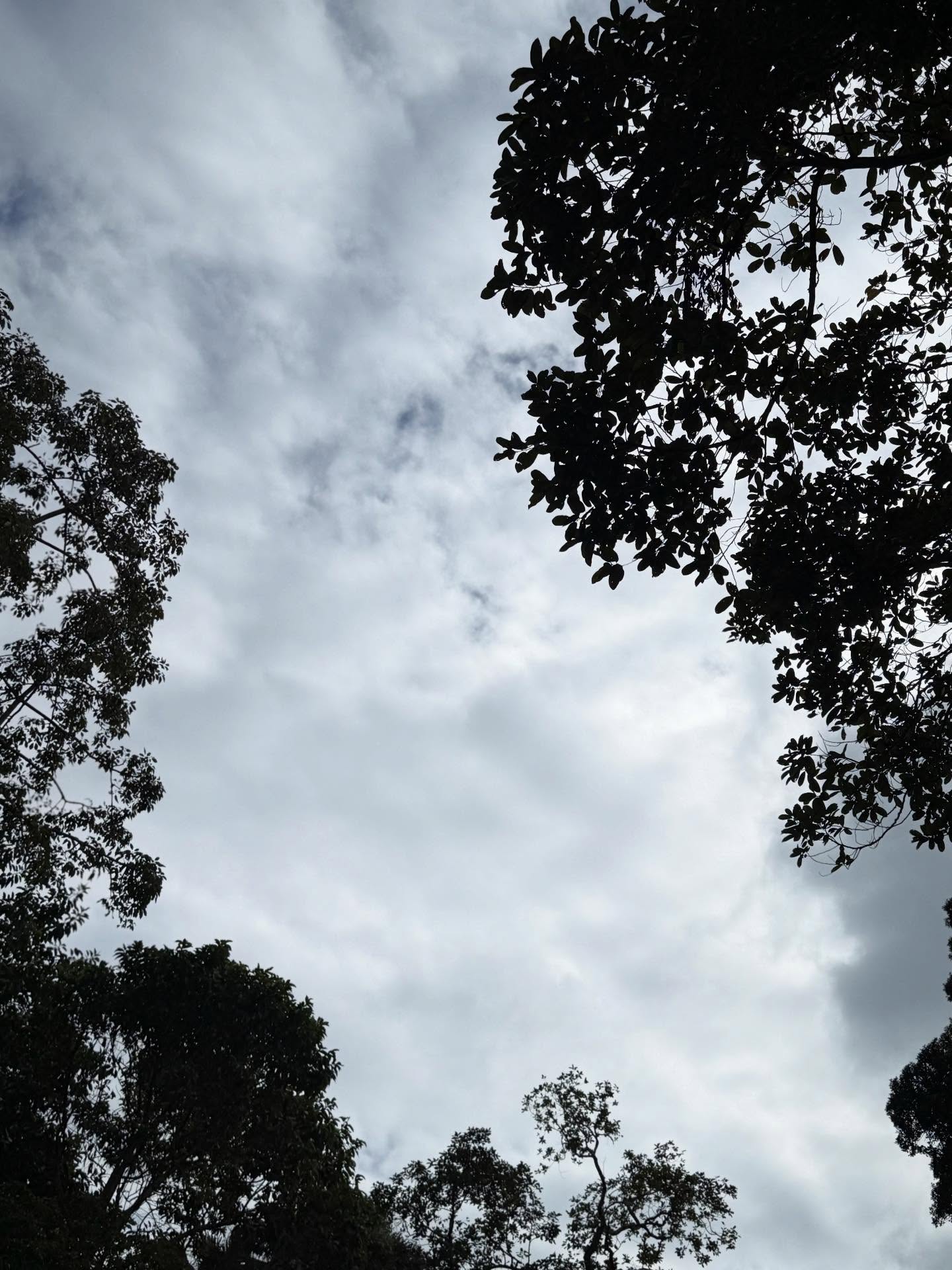 這段文字並非要挑起對罵。只是道出內心感受和說清事實。
是平心氣和的表達。
捐獻：最重點在於能夠幫助到人。
捐獻這行為本身，於我而言，捐獻完就作結，並不會糾結著眼於捐獻有否被知曉被報導，那並不是我關注的焦點。捐獻後的下一分鐘，就只著眼於「我們所有捐獻者的款項，最終是否能妥善的被使用和分配到有需要的人」。

而因為我在前幾天上載了一則祈禱的分享，這幾天收到的質疑，我非常尊重大家有質疑的權利，但也容許我說清感受和事實。
當災情發生後，焦慮痛心，跟大家一樣，最直接想到的，就是開始查找合適機構捐獻，希望先藉金錢上幫點忙。而這幾天的質疑聲浪，著眼點都是「除了祈禱，你（到底）有沒有捐錢」？
面對質疑謾罵，我這刻選擇說明。
事實是，跟大部份人一樣，災難之初，捐獻是我第一樣想到可以做的事情。（ 我這刻必須很尷尬很難堪的說出）， 於28號當天我是透過助手處理捐獻港幣一百萬。（分配於紅十字會和仁濟醫院）但我更深的想法是，除了這一點捐獻，到底還可以為水深火熱的災民做些什麼？跟大家一樣，感覺很無助，很希望自己能做點什麼。😢
在拍戲之際，偶然看到一個教堂呼召為災民的祈禱會，而那天拍攝竟然真的早收了半小時，飛車前往，很心急因不想錯過。
我想說，「祈禱（代禱）從來在我心裡，是帶有力量，並非虛無的寄托，是對天父的托付以及對別人的愛」，能夠在教堂𥚃跟同心祈禱的人和牧者為災民（及其家人）消防醫護祈禱，是捐獻以外，在無助中能做的事。
分享祈禱，於我，從不是陌生之事。
而一則祈禱分享，會被質疑到我開始收到陌生私訊，詢問會否是否應該捐款，我不懂反應。
我明白也尊重質疑者的質疑。因為疑惑者和質疑者皆不知道事實。
但我害怕再收到這些，是種無形壓力，唯有說清事實。
重申，我無意引起對罵或任何激辯。（我外表剛強硬淨但其實非常害怕任何對罵衝突）
我只是深深覺得對於捐獻或如何實踐愛和關懷，每個人有不同的處理和看法。
在災難當前，每個人都會很難受，也設法用自己的方法，希望幫得上忙貢獻自己，捐獻的人帶着善念，趕去現埸的充滿無私，但每個人處境不同，未必每個人都能用捐獻或去到現埸來表達這份關切痛心，但他（她）們時時刻刻都心心念念着災民或關注着災情，其實都形成一個有愛，而且有力量的vibe,  金錢確很重要，但並非唯一關愛的方式。有時，別小看一個網上問候、一個溫暖有愛的小圖片、充滿關懷的赤字片語，一些熱心腸的勉勵，有時比金錢更可以撫慰到破碎流離的心。
每人捐獻銀碼，隨心也量力，集腋成裘，多少無拘，眾志成城的真義不在於此嗎？
有人選擇分享捐獻事，是好的事，（以往我偶爾也會分享），因為覺得能彼此激發愛心，也讓受助者感受到各界的關切。然而有時，也許被報導出來的善心捐獻者，也是被動的。
而我深信，也有很多像我這樣的人，對於捐獻，會有著自己的看法和處理，做了就完事了，誰知誰不知，根本不重要。不是重點亦不糾結。
而「代禱」是我一向相信的力量。
代禱也是一種愛他人的方式。
「我不視禱告為廉價為恥」。
為別人代禱，甚至彼此手握著手一起祈禱，同悲同淚，那是力量。是安慰。是愛。

繼續深深祈求逝者得安息，失者得安慰，傷者得醫治。我們所有人的心都破裂了，期盼所有人都能找回重新站起來，重新振作的力量❤️‍🩹💔

抱歉。為了捐獻這等「花生」事寫這篇文字。
對不起。
但說清了，心才能坦然面對世界。
不再被誤解，才能直視面對人。