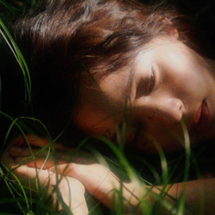 + ⋆⁺₊⋆* 𖥧𓇣𖢔

暮色森林 聽了嗎？