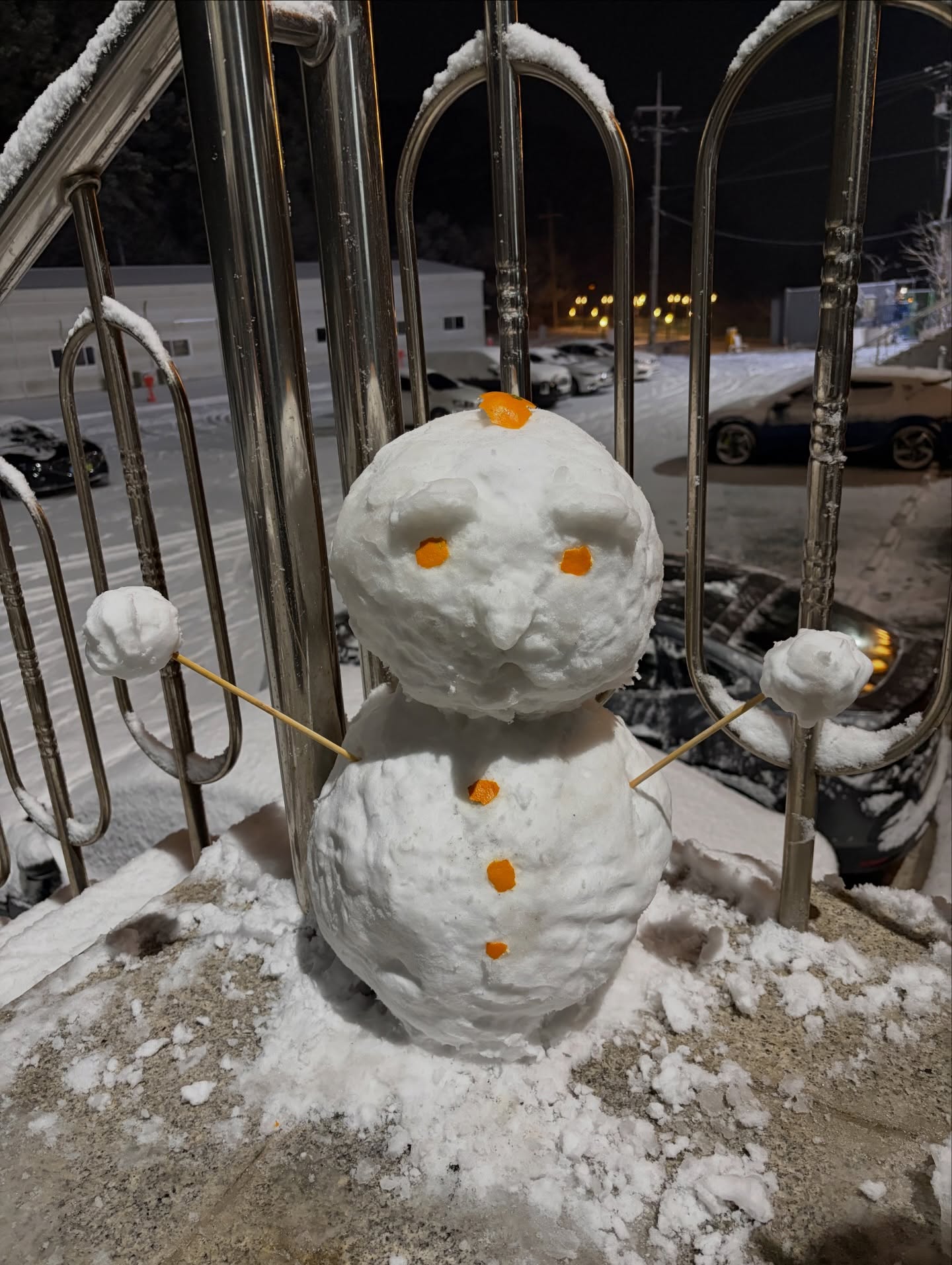 ⛄️🍊🌸🥐🎂☕️💜