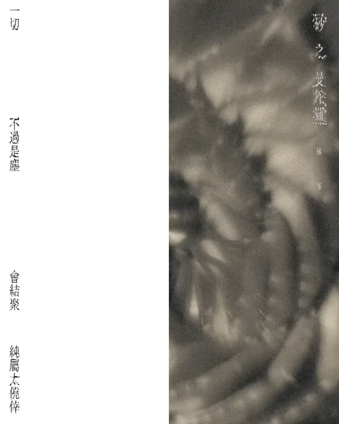 「一切 不過是塵 會結聚 純屬太僥倖」

🎵 歌曲於各平台現已上架
🎬 Visualizer已於YouTube 上線 

@lam_fung_official #砂之曼陀羅