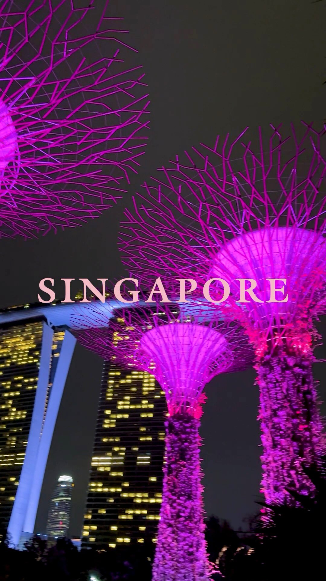 BLACKPINK WORLD TOUR [DEADLINE] IN SINGAPORE 🌸

#BLACKPINK #블랙핑크 #WORLDTOUR #DEADLINE #DEADLINE_IN_SINGAPORE