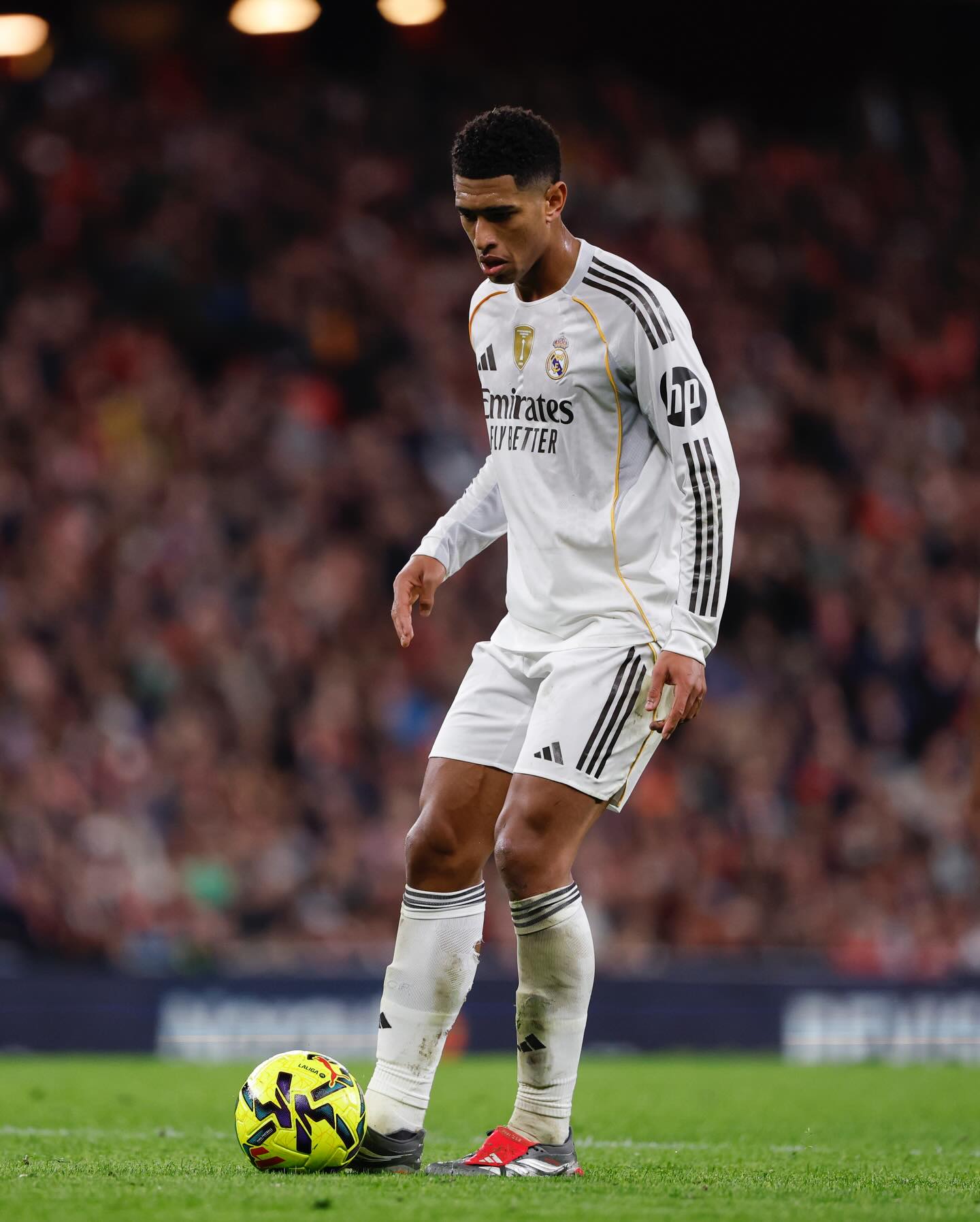 Small step back towards the right direction. Hay que seguir asi!!!🙌🏽🤍