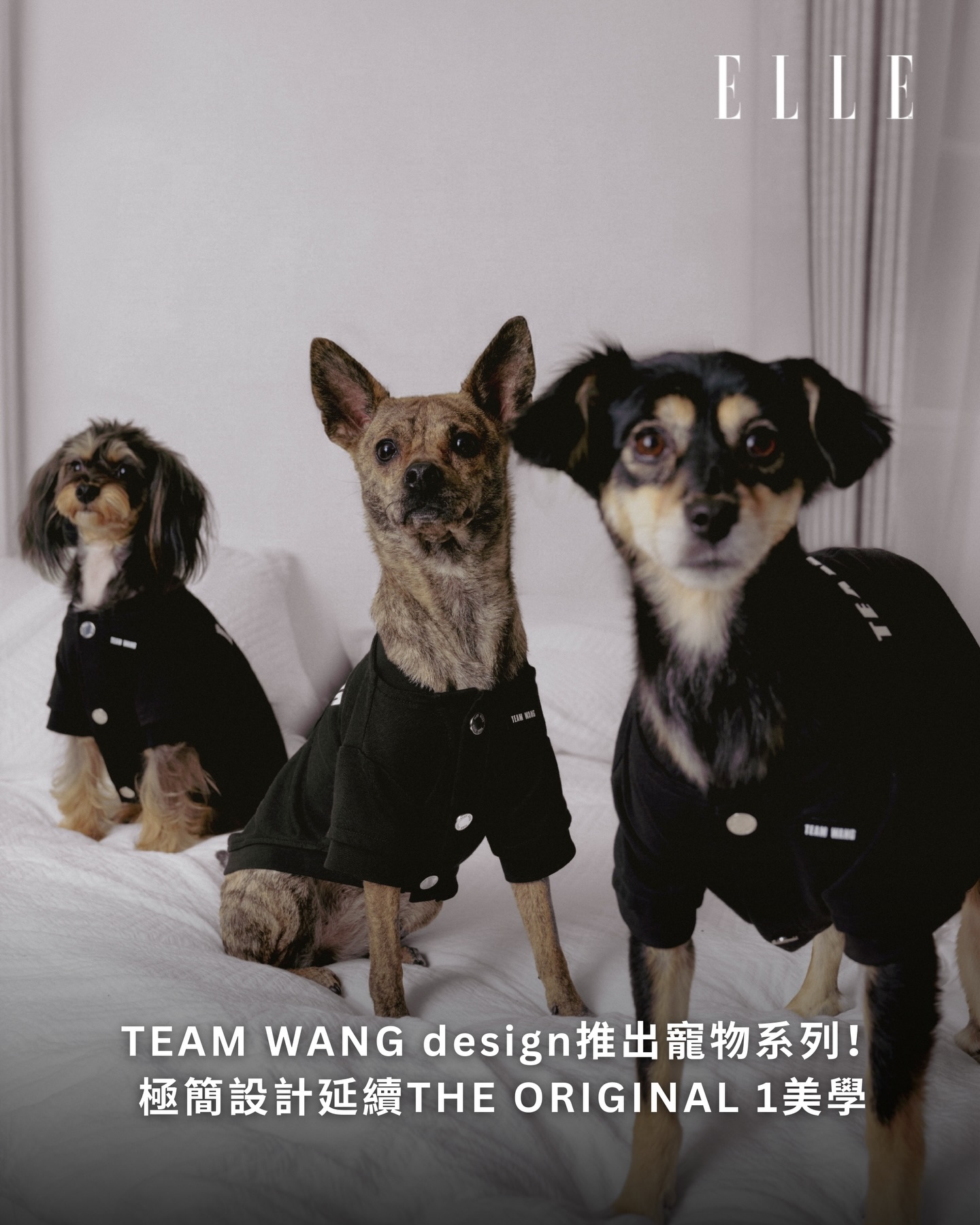 TEAM WANG design @teamwangdesign 發布全新寵物系列“FRIENDS”，三款專為寵物而設計的單品包括寵物T 恤、寵物碗、寵物梳化，均以全黑極簡設計延續其標誌性系列THE ORIGINAL 1的美學，致敬寵物為人類提供恆久的陪伴。FRIENDS系列將於12月19日中午12時於TEAM WANG design官網正式發售，各位主人不要錯過！🐾

TEAM WANG design @teamwangdesign has unveiled its new pet collection, “FRIENDS,” featuring three specially designed items for pets: a pet T-shirt, pet bowl, and pet sofa. The collection continues the brand’s signature THE ORIGINAL 1 aesthetic with an all-black, minimalist design, paying tribute to the quiet and lasting companionship pets offer. The FRIENDS collection will officially launch on December 19 at 12:00 PM on the TEAM WANG design official website. Pet parents, don’t miss out! 🐾

👉🏻follow us @ellehongkong #editor_co #ellepets #teamwangdesign