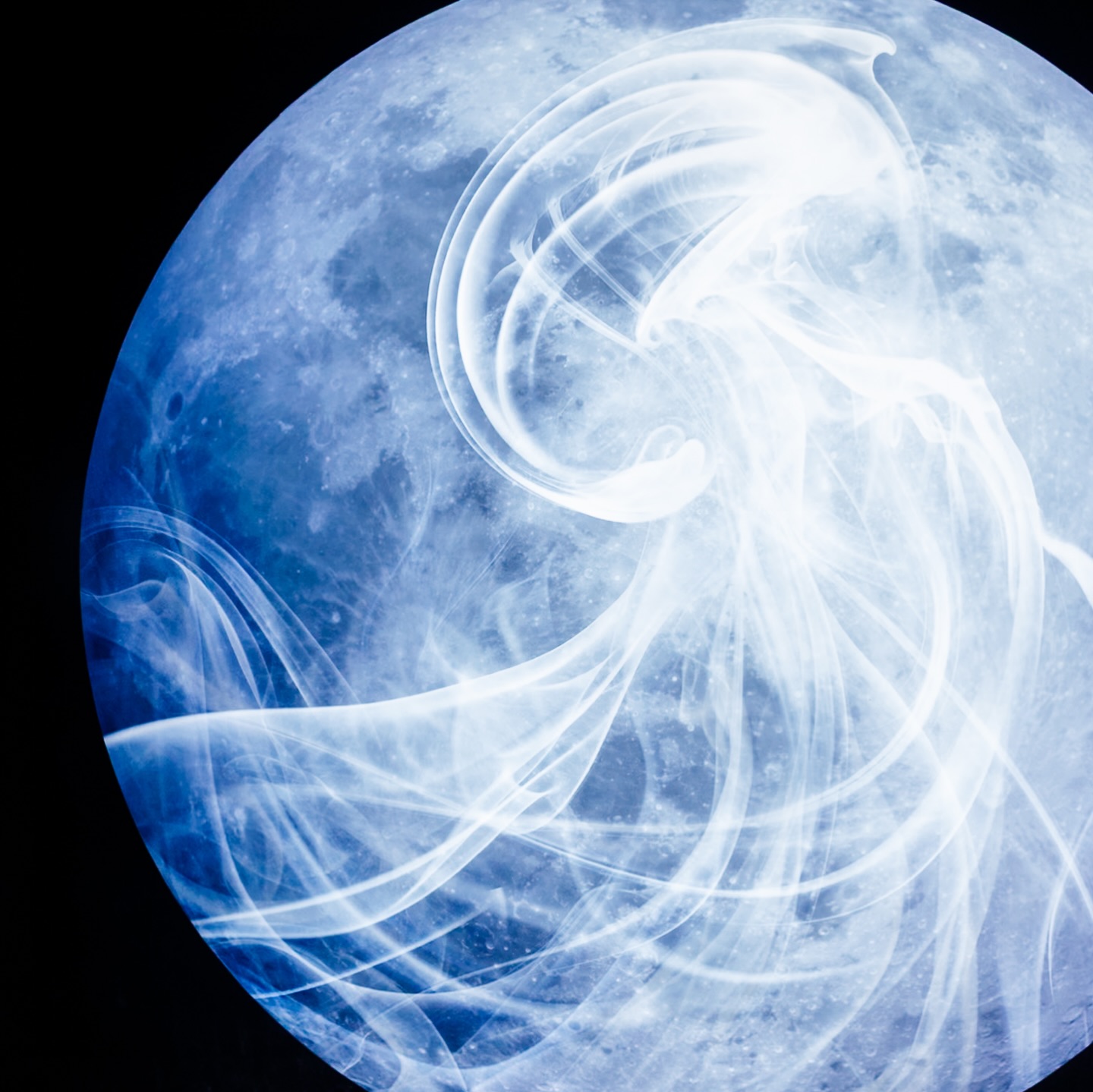 Kate Jellyfish in the moonlight🪼
 #KATEThailand #KATExEVEANDBOY #JellyfishInTheMoonlight #KATEJellyFishTH