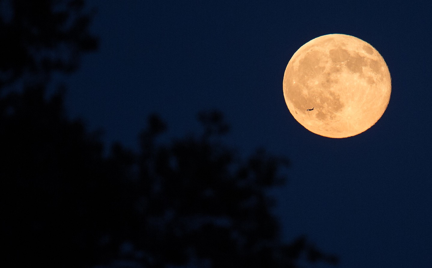 Look up at the Moon!

The last full moon of 2025 reaches its peak on Thursday, Dec. 4. This month's full moon is also a supermoon—meaning that it's near its closest point to Earth in its orbit, so it will appear slightly bigger and brighter than usual. The Moon will be just under 222,000 miles away from Earth on Dec. 4.

If you were able to drive to the Moon at 60 miles an hour, it would take you five months to get there—but when our Artemis II mission lifts off next year, it will fly around the Moon and back in just ten days! Our four Artemis II astronauts will observe the Moon from close-up and test out the equipment we'll use on future missions to the Moon's surface.

Image description: A large, full moon takes up much of this photo's top-right corner; it shines a pale yellow, and many craters and other landmarks are visible. A small plane can be seen passing in front of the Moon near its bottom-left. The background is a dark blue, with the blurry outline of shrubbery visible at the left and bottom of the photo.

Credit: NASA/Joel Kowsky

#NASA #Space #Moon #FullMoon #Artemis