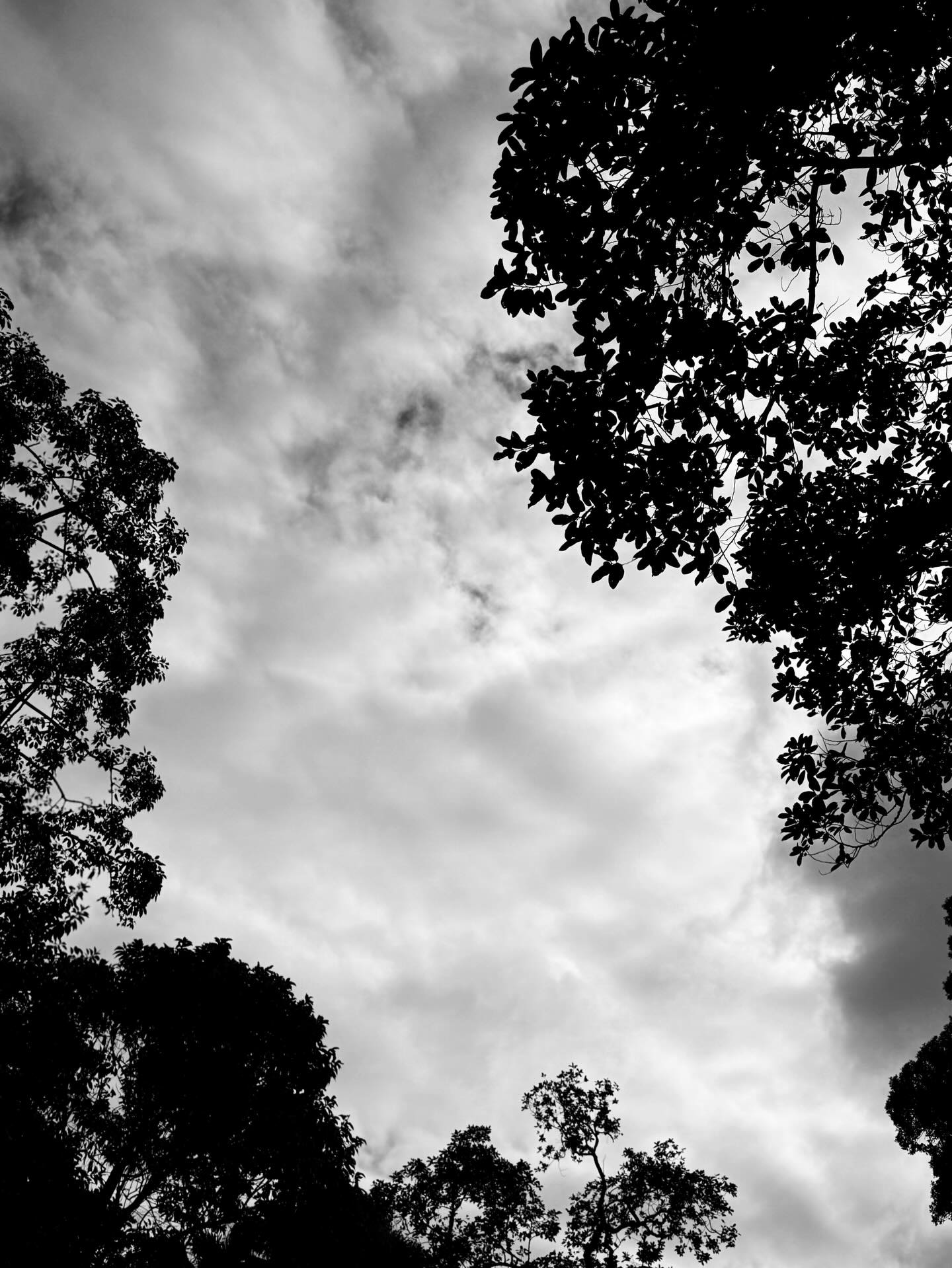 這幾天，跟所有人一様都是沉重和傷痛。
一股難以言喻的，壓在心頭，悶在心坎。
在這座城市最水深火熱之時，帶著這股情緒，但必須履行從早到晚的拍攝工作，在事發初，最無助和悲痛之中，在日以繼夜的拍攝中亦做不了什麼，看到很多熱心市民親身到現場提供幫助給予愛，自己卻在拍攝埸裏什麼都幫不到，非常難過慚愧。
在拍攝之際，在網上偶爾看到一則教堂會舉辦災民祈禱會，但心知翌日拍攝會到晚上九點，會過了祈禱會的時間也就無望。
翌日拍攝當天，內心一路忐忑，總希望拍攝能夠快點完成。誰知拍攝真的早收了半小時。心想應可趕得到，誰知竟去錯一個差不多名的教堂，不放棄，再馬上跑上車找對的地點。
抵達教堂，可能看見這則呼召的人並不多，出席人數很少，十幾個人坐在教堂中顯得疏落，但並不重要，同心更重要。在一個多小時的祈禱會裏，我們同心禱告，在淚水中在祈禱中，把無助化成祈禱的力量。在心願紙上寫上我們對災民和消防醫護的祝禱。求天父垂聽我們卑微的禱告。醫治這座城破碎的心。💔
完了祈禱會，帶着沉重無助，翌日繼續拍攝工作，在途中竟收到一位那晚也有出席的陌生主內姊妹的私訊，我們彼此分享了一些感受，謝謝這份愛。
今天，心情仍是很沉重。
心頭仍然壓着很沉重的烏雲，說不出的，像壓在喉頭。
繼續默念受災受傷和失去的人，能找到重新站起來的力量和據點。
不容易，期盼愛是力量。
但願時間幫忙所有人療傷。❤️‍🩹