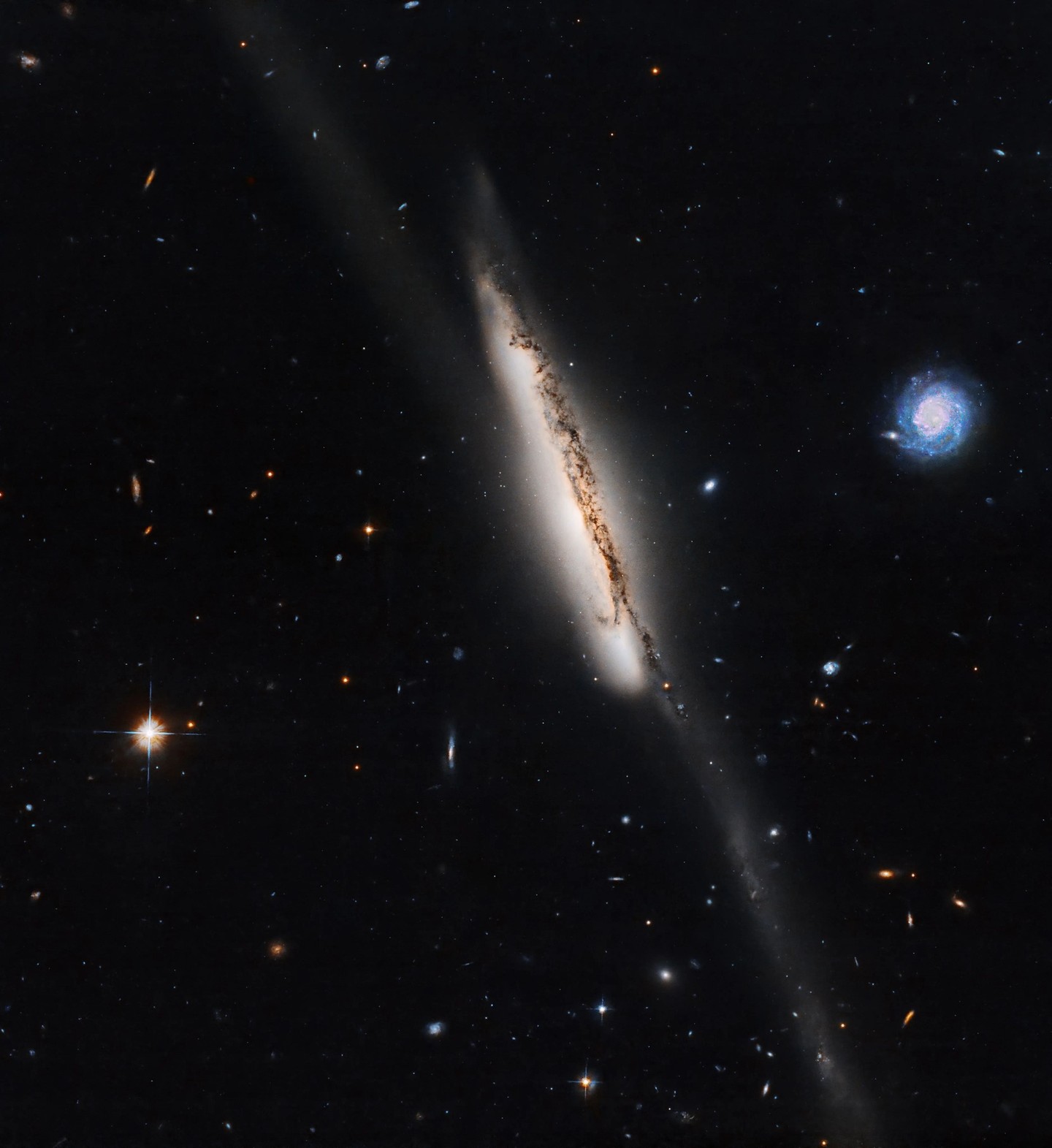 Long-distance friendships can be a beautiful thing 💞 

In this case captured by @NASAHubble, two galaxies in the trio known as Arp 295 have created a 250,000-light-year-long bridge of stars, connecting each other across the distance between them. 

When galaxies get close to each other, their gravity can distort their shapes. When this happens, they’re known as interacting galaxies; if they get close enough together, they can eventually merge into one. Researchers believe that galactic mergers are common, and it is even expected that our own Milky Way will merge with our nearest neighbor, the Andromeda galaxy, in four billion years. 

This stellar stripe connects the galaxy in the center of the image, known as Arp 295a, to a second galaxy out of frame above it, Arp 295b. The bridge then trails off down below Arp 295a. 

Image description: An image focused on Arp 295a against the backdrop of black space littered with stars and distant galaxies. Arp 295a is viewed edge-on, appearing as a thin stripe of pale light shrouded by a smoky dust pattern. A faint streak of light extends both upward and downward from it. Another member of the trio, Arp 295c, is pictured to the right of Arp 295a, and appears smaller, bluer, and face-on. 

Credit: NASA/ESA/J. Dalcanton (University of Washington)/R. Windhorst (Arizona State University)/Processing: Gladys Kober (NASA/Catholic University of America)

#Space #NASA #Galaxy #Universe #LDR
