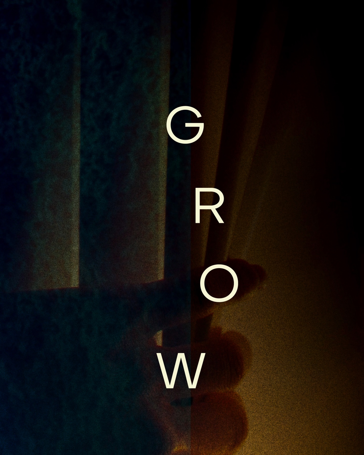 Sometimes we’re lost in the night, 
Sometimes we find ourselves in the light. 🌠 #GrowWithTheFlow_KV 

BILLKIN - Grow With The Flow - Official MV 
2 Dec 25 l 8 PM (GMT+7) 
YouTube: Billkin Entertainment

#GrowWithTheFlow
#GrowWithTheFlowAlbum 
——

🎧 Streaming Platforms
: https://billkin.lnk.to/GrowWithTheFlow