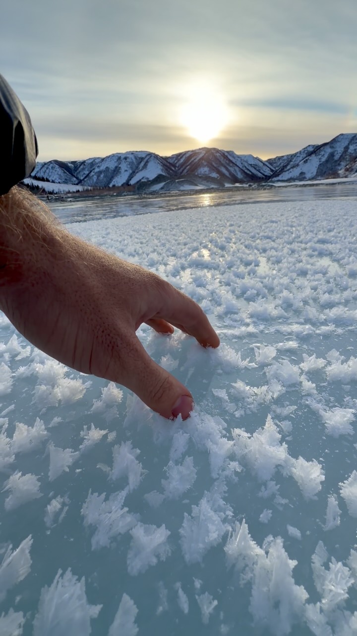 Ice like angel wings 😍