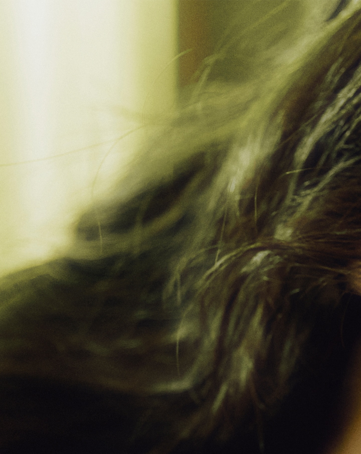 ⁠ ⁠⁠ 
2025년 끝자락, 장원영이 또 하나의 ‘one and only’ 페이지를 열었습니다. 홀로 완전히 다른 장르를 소화했습니다. 마치 느와르 영화 속 한 장면 같았습니다. 장원영은 이 순간이 특별하다고 말합니다. 팬들에게 새로운 모습을 보여줄 생각에 설렌다고 웃었습니다. 그 순간들을 빠짐없이 기록했습니다. 세상에 단 하나뿐인 장면, 지금부터 펼쳐집니다.

#one_and_only

디아이콘 vol31, 장원영

Photographer 방규형
Film director 김예진
Editor 구민지
Digital editor 김수인
Visual director 고동휘
Stylist 김예진
Hair 조다미
Makeup 강다인
Set 황서인

🗓️2025.12.15(14:00) - 2025.12.25(23:59)(KST)

#장원영 #JANGWONYOUNG @for_everyoung10 @ivestarship
#DICON #DISPATCH