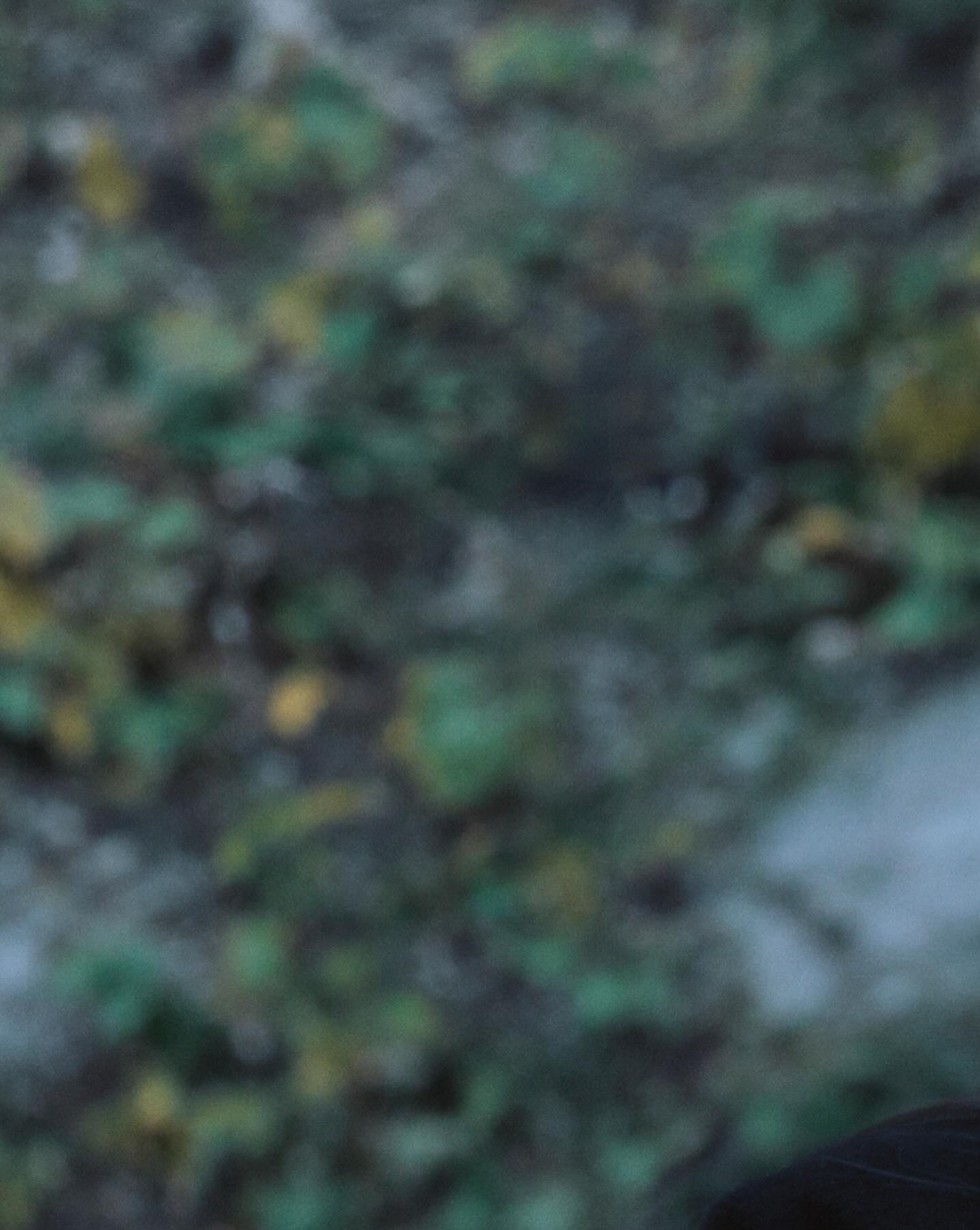 ⠀
해질녘 정원에는 서늘한 기운이 흘렀고, 고요함을 깨고 검은 토끼가 뛰어들었습니다. 그 사이에 장원영이 자리했습니다. 치명적인 눈빛으로 분위기를 고조시켰죠. 여기서도 그녀의 천재 아이돌 모멘트가 빛났습니다. 작은 동작 하나도 허투루 하지 않는 모습이 감탄을 자아냈습니다. ‘디아이콘’이 장원영의 하루를 섬세한 시선으로 담았습니다. 

#one_and_only

디아이콘 vol31, 장원영

Photographer 방규형
Film director 김예진
Editor 구민지
Digital editor 김수인
Visual director 고동휘
Stylist 김예진
Hair 조다미
Makeup 강다인
Set 황서인

🗓️2025.12.15(14:00) - 2025.12.25(23:59)(KST)

#장원영 #JANGWONYOUNG @for_everyoung10 @ivestarship
#DICON #DISPATCH