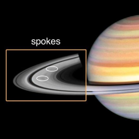 A wheely cool feature of Saturn's rings 🛞 

In this sharp photo snapped by @NASAHubble, you can see spokes on Saturn’s rings. These spokes come and go—only lasting two or three rotations around the planet as new spokes are added to the rings. They appear as ghostly grey lines running perpendicular through the rings, much like spokes on a wheel. 

Scientists believe that these spokes could be a product of Saturn’s magnetic field interacting with solar wind, creating electrostatic force that floats dust or ice above the rings. The length and width of these spokes can reach longer than Earth’s diameter. 

From Hubble’s observations, we learned that the number of spokes and their contrast with the rings vary by season. Unlike Earth’s seasons, which only last a short three months, Saturn’s seasons last around seven years. Just as spooky season on Earth occurs around the planet’s equinox, Saturn’s spokey season also occurs around the planet’s equinox, resulting in darker, more numerous spokes than in other seasons. 

Image descriptions: The first slide shows the left half of Saturn with a yellow box around the rings and its spokes circled in white. The word "spokes" is also written in white above the box. The next two slides show the full image of Saturn and its rings, crisp against black space. The planet itself is various, distinct layers of peach, yellow, and orange shades, and the rings are monochrome. The ring’s spokes appear as dark, perpendicular smudges appear on the rightmost and leftmost points of the inner set of rings. 

Credit: NASA, ESA, STScI, Amy Simon (NASA-GSFC), Joseph DePasquale (STScI) 

#NASA #Hubble #Planets #Saturn #Rings