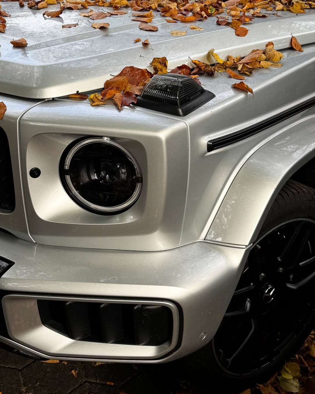 Leaf it to the #GClass to serve looks.

📷 @avika.vvs for #MBfanphoto 

#MercedesBenz #MercedesAMG 

[Mercedes-AMG G 63 | Energieverbrauch kombiniert: 15,0‒14,7 l/100 km | CO₂-Emissionen kombiniert: 342‒335 g/km | CO₂-Klasse: G]