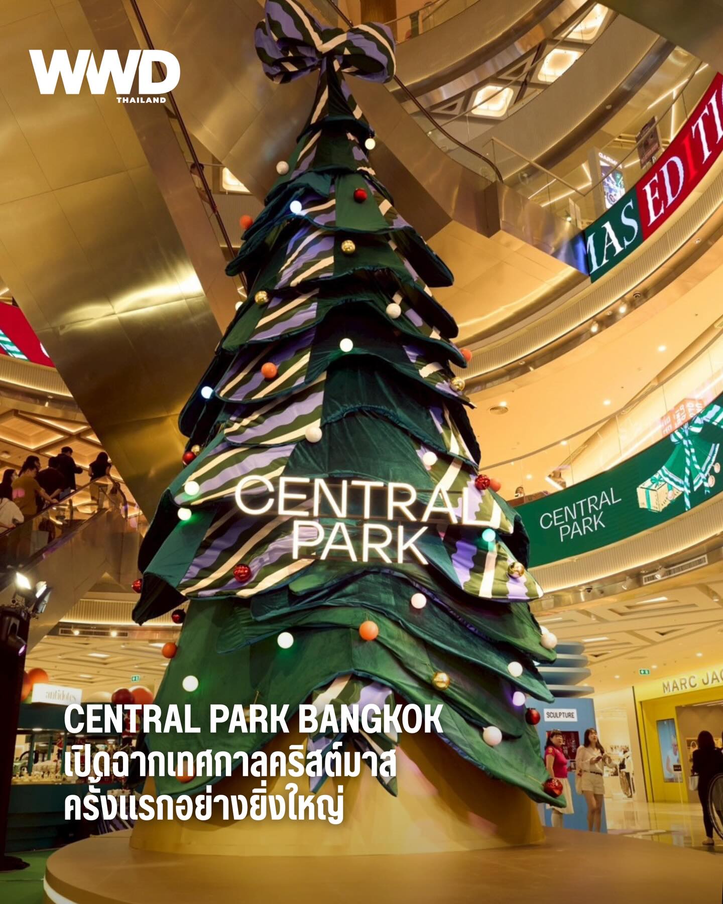 Central Park Bangkok ประเดิมฤดูกาลแห่งการเฉลิมฉลองด้วยงาน Christmas Edition ครั้งแรก ที่ถูกเนรมิตให้กลายเป็นแลนด์มาร์กแห่งความสุขใจกลางกรุงเทพฯ ในบรรยากาศอันหรูหราและอบอุ่นแบบร่วมสมัย ตลอดทั้งศูนย์การค้า เต็มไปด้วยอินสตอลเลชั่นสุดอลังการที่คัดสรรมาเพื่อสร้างประสบการณ์เฉลิมฉลองแบบที่ไม่เคยเกิดขึ้นมาก่อน

ไฮไลท์ที่ห้ามพลาด ได้แก่ The Velvet Pine ต้นคริสต์มาสกำมะหยี่ซ้อนเลเยอร์ ดีไซน์สวยละมุนที่มอบมิติอ่อนโยนและถ่ายรูปสวยทุกมุม ถัดมากับ The Embracing Ribbon ริบบิ้นที่พาดผ่านพื้นที่ราวกับห่อทั้งศูนย์การค้า ให้กลายเป็น “กล่องของขวัญขนาดใหญ่” ชวนตื่นตา ปิดท้ายด้วย The Soft Bells ระฆังผ้านุ่มนวล พร้อมข้อความอวยพรแสนอบอุ่น ถ่ายทอดความหมายของการให้และความใกล้ชิดในฤดูกาลแห่งความสุข

ตลอดเดือนธันวาคม Central Park Bangkok ยังเตรียมกิจกรรมพิเศษ การแสดง และโมเมนต์สุดประทับใจให้ผู้มาเยือนได้ร่วมสร้างความทรงจำใหม่ในช่วงปลายปีนี้ ไม่ว่าจะมาเพื่อช้อปปิ้ง พักผ่อน หรือถ่ายภาพ ก็พร้อมให้ทุกคนดื่มด่ำกับบรรยากาศคริสต์มาสที่ทั้งงดงามและมีชีวิตชีวา สมกับเป็นแลนด์มาร์กใหม่ของคนกรุงเทพฯ ในซีซั่นแห่งการเฉลิมฉลองอย่างแท้จริง

#WWDThailand 
#CentralParkBangkok
#CentralParkChristmasEdition
#เซ็นทรัลพาร์คแบงค็อก