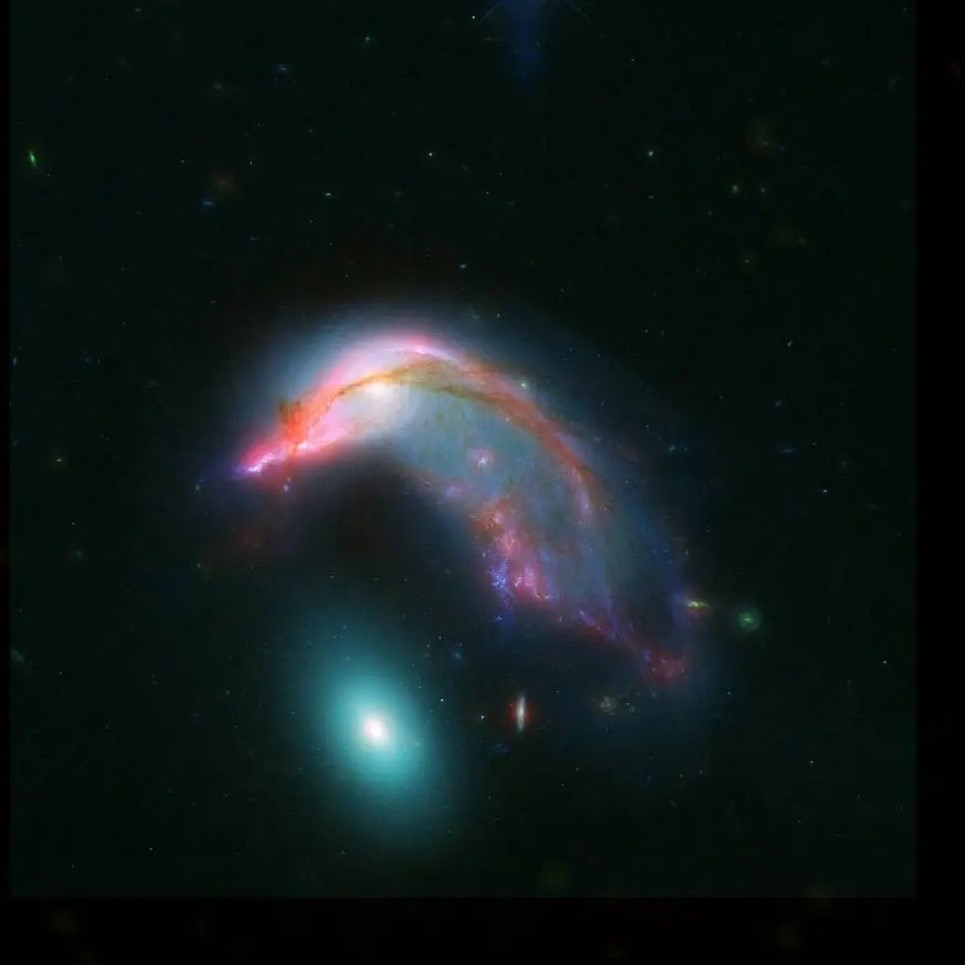 You vs. the penguin she told you not to worry about 🐧
 
But beauty is in the eye of the beholder! What you’re looking at is two perspectives of a group of galaxies named Arp 142. The first image was taken by @NASAHubble, and the second by @NASAWebb.

Arp 142 is nicknamed the Penguin and the Egg due to the shape of the galaxies, which resembles a penguin guarding an egg. The “penguin” part of the pair is a spiral galaxy twisted and pulled by the gravity of its neighbor. Due to its mix of features—new stars, gas strands, and others—its distortion is readily visible.

The “egg,” in contrast, appears featureless due to its smooth distribution of old stars. This hides any shaping caused by the gravity of its neighbor.

Over time, gravity will bring these two galaxies closer together until they become one. This type of galactic merger likely occurred for most large galaxies we see today, including our own Milky Way.

Image descriptions:

1. Hubble's image of Arp 142. Two galaxies stand out against a black background dotted with small, faint stars and two brighter stars at the top of the image. The “egg” galaxy is just below the “penguin,” appearing as a glowing, turquoise oblong. The “penguin” galaxy appears to be standing over its galactic neighbor. Twisted filaments of blue and red outline the penguin shape in the speckled, white glow of the galaxy’s body. Wisps of rusty lines cascade from the penguin’s “beak” to its “torso.”

2. Webb's image of Arp 142. The same two galaxies are pictured, this time with the “penguin” appearing as twisted, fiery streaks of glowing dust and the “egg” appearing as a warm, glowing point. Both galaxies are surrounded by an aura of diffuse light. The stars and small galaxies in the background show up as deep orange.

3. Webb's image of Arp 142, this time with the shape of the penguin and egg outlined in pink.

Credit: NASA-ESA/STScI/AURA/JPL-Caltech/CSA

#NASA #Galaxy #Penguin #Space #Universe