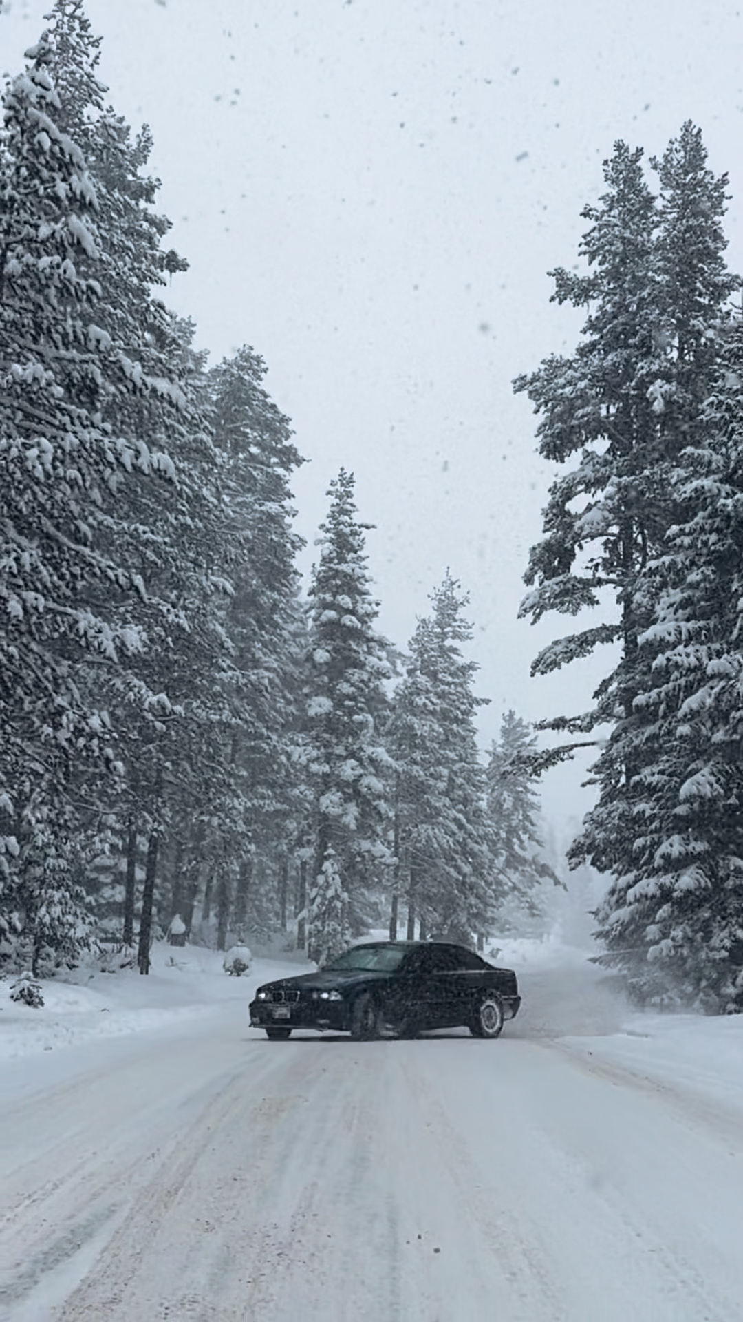 We just can't help it...

#BMWMRepost @m36avus  @kadirhannn @rizahannn @smg.garage

#BMW #BMWM #GENM

Professional driver on closed course. Do not attempt.