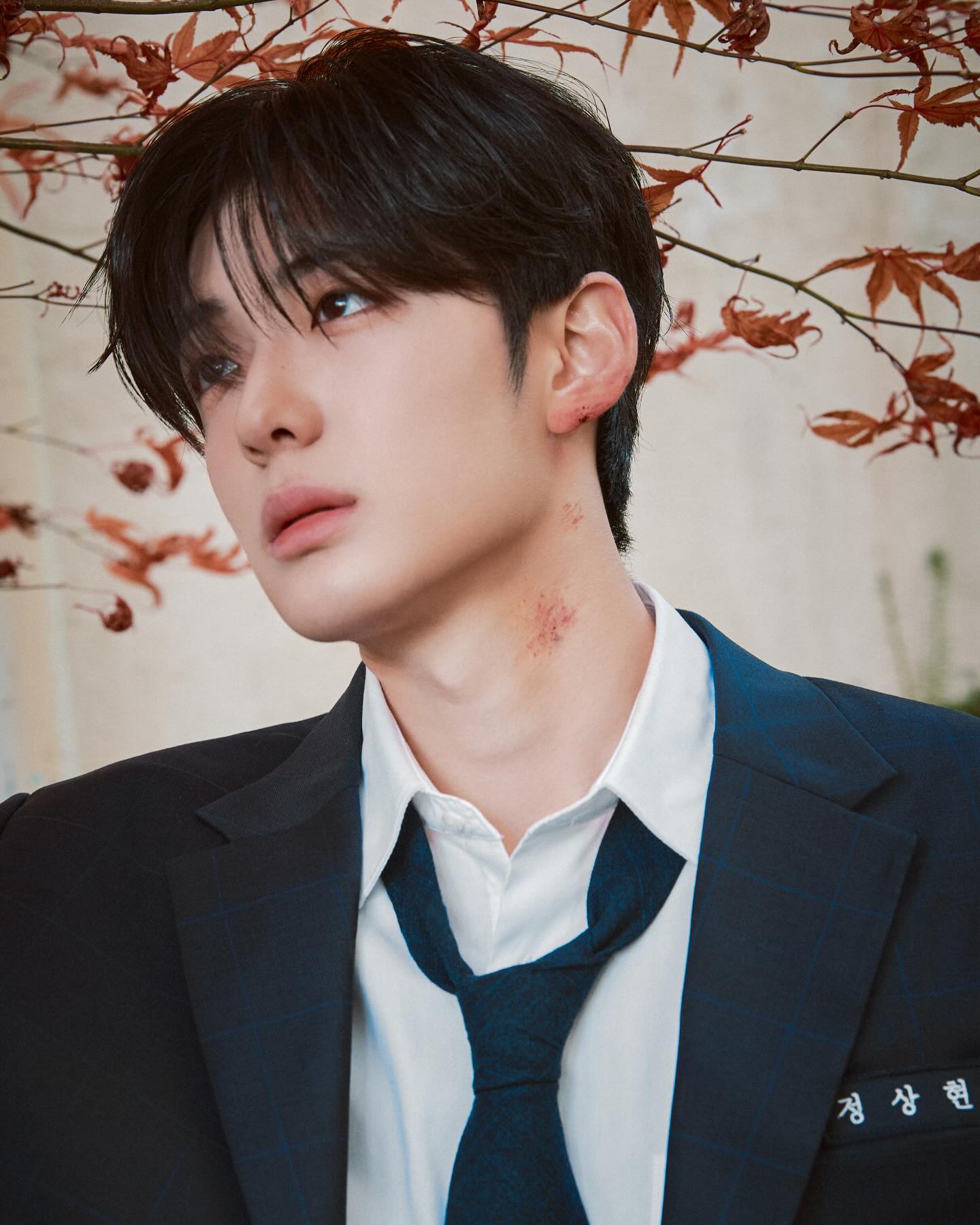 ALPHA DRIVE ONE ’EUPHORIA‘ Concept Photo (JEWEL CASE ver.) #SANGHYEON

ALPHA DRIVE ONE (알파드라이브원) THE 1ST MINI ALBUM 【EUPHORIA】 
➫ 2026.01.12 6PM (KST)

💿 Pre-Save Now
https://lnk.to/ALD1_EUPHORIA

#ALPHADRIVEONE
#알파드라이브원 
#상현
#EUPHORIA