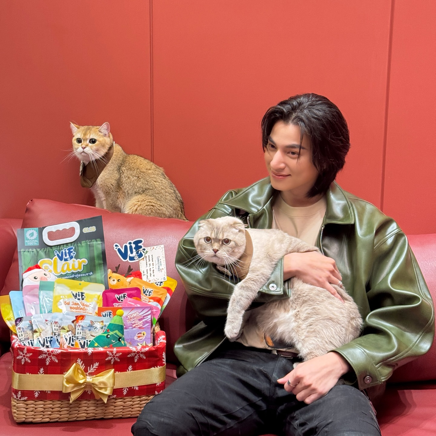 Merry Vifmas🐈🎄
#VIFEveryDayaGoodDay #วิฟให้ทุกวันเป็นวันที่ดี #โตมากับวิฟ