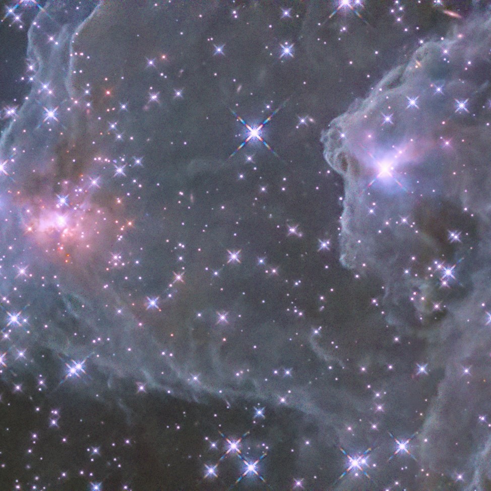 All that glitters is not gold… sometimes it’s purple or pink. 

@NASAHubble captured this view of the nebula shown here, named Sh2-284, which lives 15,000 light-years away at the end of a spiral arm of our Milky Way galaxy. Hubble snapped this image in infrared, meaning stars are visible that would otherwise be obscured by gas and dust in visible light. 

Sh2-284 is the birthplace of many young stars, with the newborns showing up as dense, glowing clusters of pink light amongst the clouds. It is also a region poor in elements heavier than hydrogen and helium, mimicking conditions of the early universe. These images help scientists study how these conditions influence star formation, and how that might have applied to the early days of our universe. 

Image description: Fluffy clouds of gray gas and dust obscure the background of space. Spots of denser gaseous knots appear rusty brown. Purple and pink stars sparkle all throughout the scene. 

Credit: NASA, ESA, and M. Andersen (European Southern Observatory - Germany); Processing: Gladys Kober (NASA/Catholic University of America) 

#NASA #Hubble #Nebula #Galaxy #AllThatGlitters