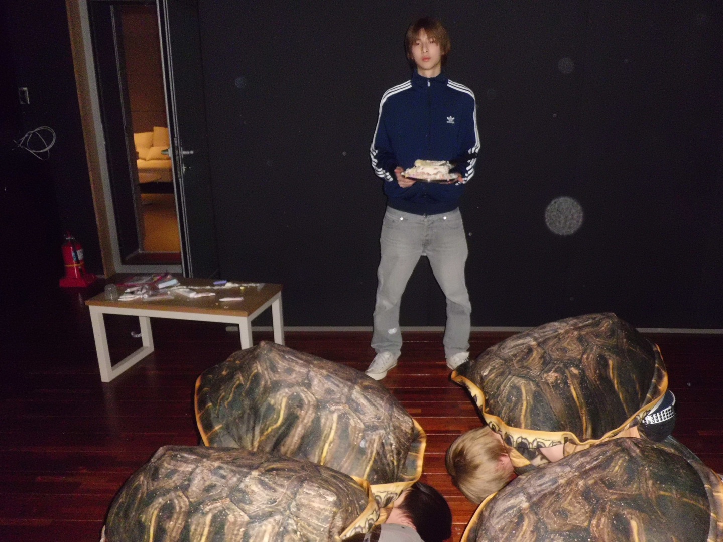 boss turtle day 🐢