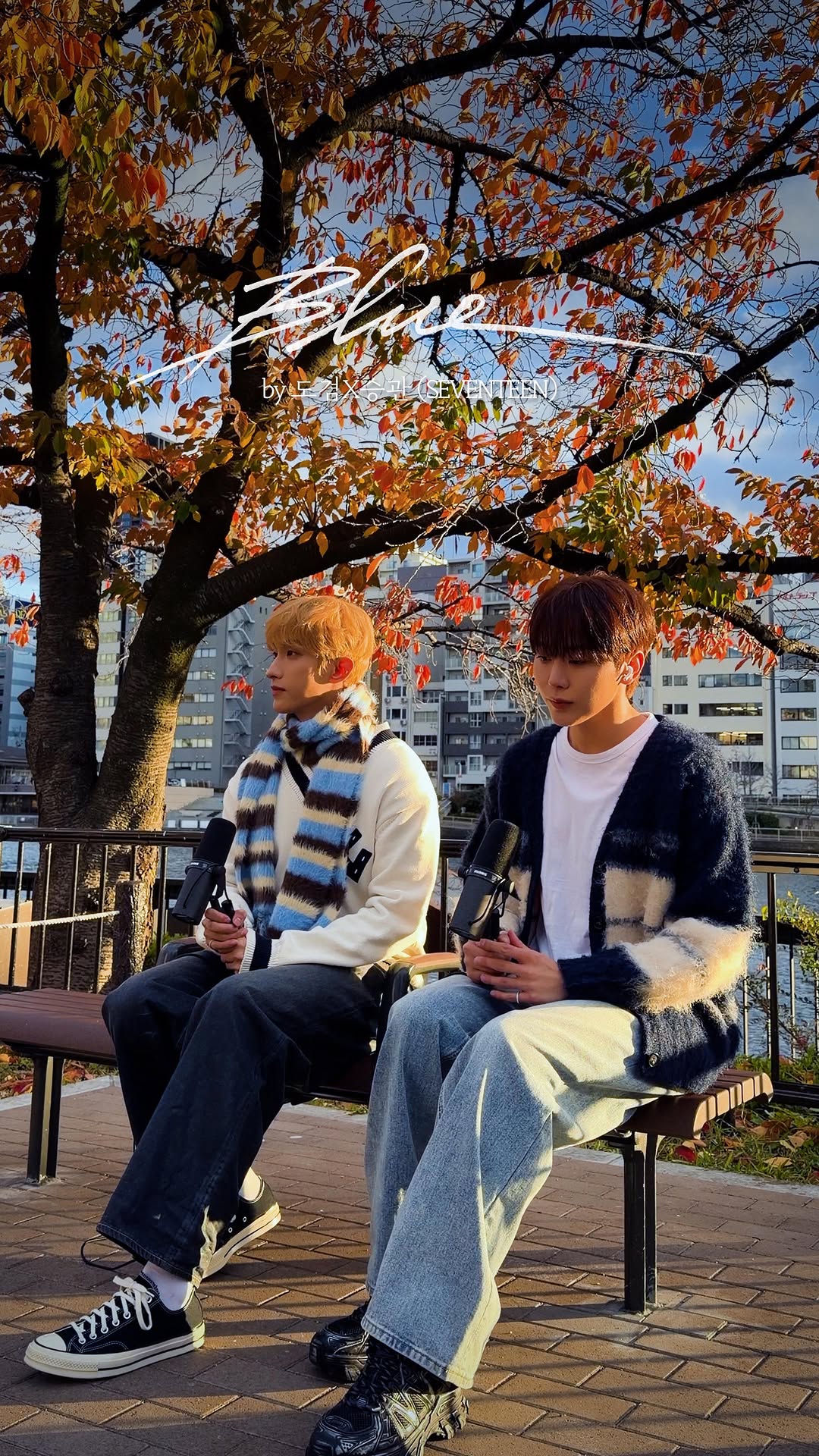 #Blue ❄️

#DxS #도겸X승관
#소야곡 #Serenade