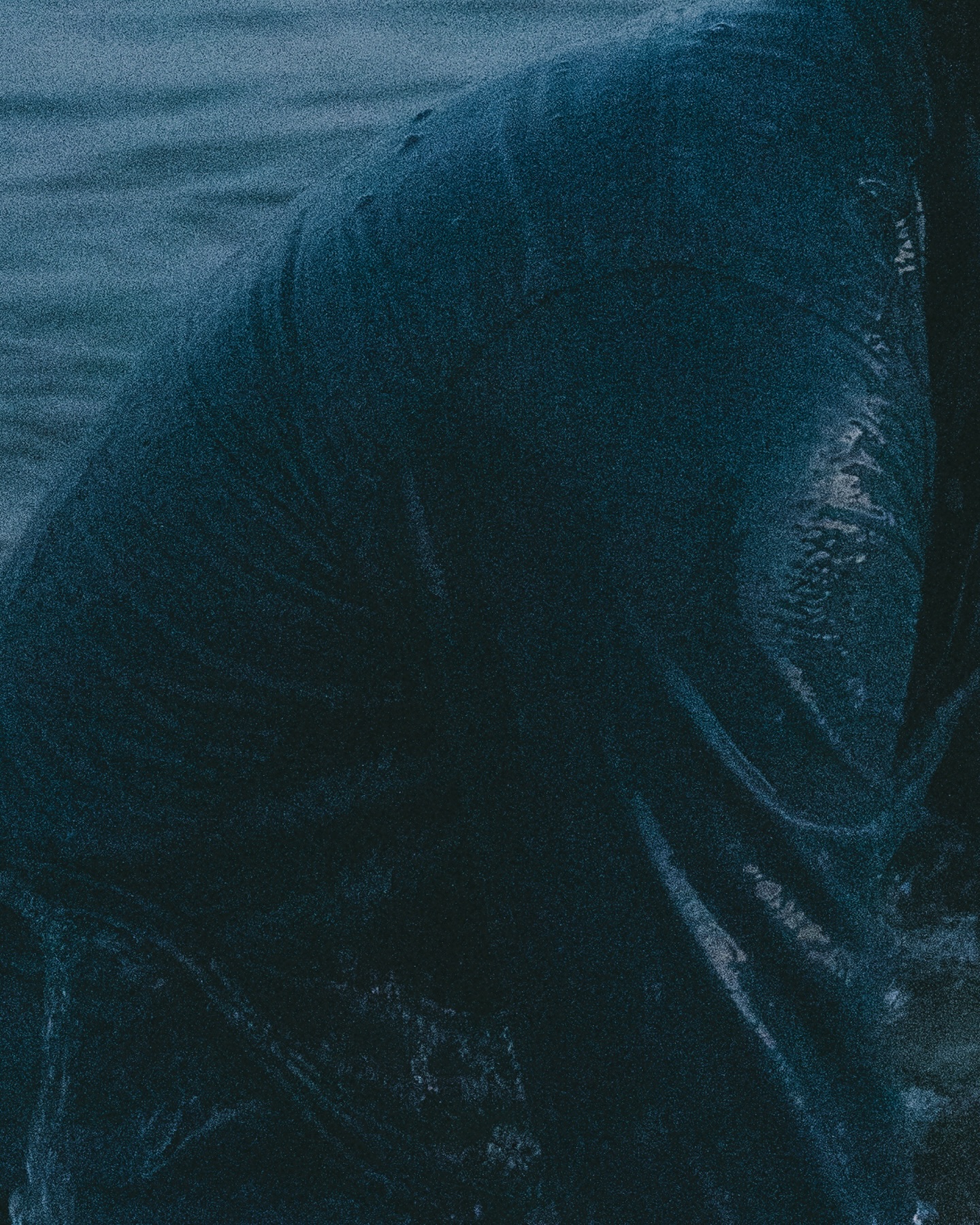 ใคร ๆ ชื่นชมและพูดกัน ว่ารักเราเหมือนฝัน แต่เขาจะรู้ไหม... 🖤 #ใครจะรู้_KV

BILLKIN - ใครจะรู้ (Silent Blue) - Official MV directed by BILLKIN 🎥 
19 Jan 26 | 7 PM (GMT+7)
YouTube: Billkin Entertainment

#ใครจะรู้ #GrowWithTheFlowAlbum
#BillkinEntertainment #Bbillkin 
——

🎧 Streaming Platforms
: https://billkin.lnk.to/GrowWithTheFlowAlbum