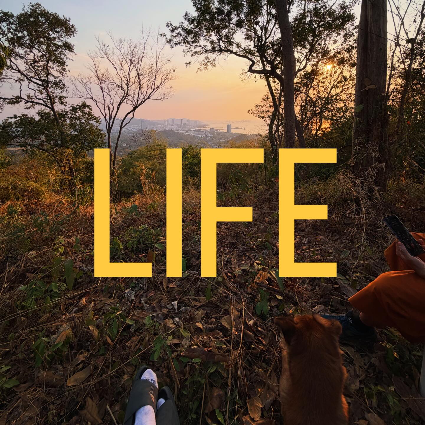 Daily life : วันนี้เป็นพระวันสุดท้ายก่อนจะออกไป ใช้ชีวิต“ปกติสุข” เราได้เรียนรู้อะไรหลายๆอย่างเกี่ยวกับชีวิตแต่เป็นที่น่าเสียดายที่ช่วงเวลานี้ช่างสั้นนัก ไม่ต่างอะไรกับชีวิตคนเรา ถ้านับเป็นวันตอนนี้เราคงเหลือประมาณ 17,000 กว่าวัน เราศึกษาพระพุทธศาสนาเกี่ยวกับหลักคำสอนแต่คำสอนต่างๆกลับไม่ได้ช่วยอะไรเรามากนักเพราะเรายังห่างจากชั้นพระอาจารย์และพระท่านอื่นที่ศึกษามามากกว่าเรา แต่สำหรับเราครูชั้นเลิศและสุดยอดอาจารย์คือ “ประสบการณ์ชีวิต” เราได้เข้าใจคำพูดต่างๆที่ไม่เข้าใจในตอนนั้นได้อย่างลึกซึ้ง ประสบการณ์สอนให้เราเป็นคนที่ดีขึ้นในทุกๆวัน ยอมรับความผิดพลาด และการเป็นตัวของตัวเอง ทิฐิและการคิดว่าเรารู้ทุกอย่างบนโลกแต่ตอนนี้เรากลับไม่แน่ใจ ความคิดทางจิตใจเปลี่ยนไปไม่เหมือนก่อน ทุกอย่างมีวันจบสิ้น แปรเปลี่ยนตามกาลเวลา ทุกสิ่งเริ่มเกิดได้ ก็มีหยุดได้ แต่สิ่งที่ไม่หยุดเลยคือกาลเวลา เพราะฉะนั้นทุกๆวินาทีที่เดินอยู่ จงคิดดี ทำดี กรรมดี สมองส่วนหน้าที่คิดวิเคราะห์ ประมวลผลของการกระทำ ไตร่ตรองอยู่เสมอ และไม่ว่าจะทำอะไรก็แล้วแต่ ขอให้จงจำไว้คำเดียว ทุกการกระทำ เตือนตัวเองในใจจนกว่าจะตายนั้นคือคำว่า “สติ” เหมือนที่เราเดินขึ้นเขา ทุกอย่างมีความสำเร็จรออยู่ ช้าได้ เหนื่อยก็พัก และเดินต่อ ก้าวพลาดบ้างล้มบ้าง แต่ยังมีชีวิตอยู่ก็แค่ลุกและเดินต่อไป หันมามองข้างหลังบ้างว่าเราเดินมาไกลแค่ไหนแล้ว และกลุ่มคนที่เดินมาด้วยเป็นอย่างไรบ้าง ชื่นชมกันเอง ว่ามึงก็เก่งมากๆเลยนะ ถ้าจะสำเร็จเราต้องสำเร็จไปด้วยกัน ไม่ทิ้งใครไว้ข้างหลัง เมตตาต่อกัน เราได้แจกอาหารเด็กๆที่ไม่ค่อยได้รับโอกาส เราได้เห็นเด็กบางคนมีความสุขกับสิ่งเล็กๆ แค่ไอศครีมถ้วยเล็ก รสชาติไม่ได้เหมือนแบรนด์ดังๆแต่เขากลับยิ้มออกมาแบบที่เรารู้สึกเป็นผู้ให้ เราได้สอนใครหลายๆคนกับสิ่งที่เราพอจะทำได้ ขอบคุณคนเหล่านั้นที่เปิดใจรับฟัง เราไม่ได้ดีไปกว่าใครแต่เราต้องดีกว่าคนเมื่อวาน เดินไปให้ถึงจุดยอดเขาที่ตั้งเป้าหมายไว้ และความสำเร็จเหล่านั้นจะตอบแทนสิ่งที่เราพยายามมาทั้งหมด ”พระพุทธศาสนาไม่ได้สอนให้เราเชื่อแต่สอนให้เราเข้าใจคำว่าชีวิต เพราะธรรมทั้งหมดทั้งปวง ไม่ควรยึดมั่น“  การเล่าครั้งนี้เป็นการเตือนใจและเตือนสติของตัวเราเอง เราขอใช้พื้นที่นี้ในการเผยแพร่ความเข้าใจของเรา และหวังว่าทุกคนจะเปิดรับและเข้าใจตัวเองมากขึ้น ขอบคุณและเจริญพร.