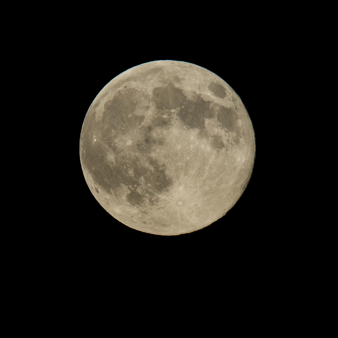 Must be a full moon, feels like one of those nights 🎵⁣

If you’re in search of something to do this weekend, look up! The next full moon will be on Sunday, Feb. 1. What you see on the Moon with just your eyes will vary depending on your eyesight. Give yourself plenty of time for your eyes to adjust and look carefully.⁣

Without binoculars, you’ll be able to see a few landmarks like Aristarchus Plateau, Mare Serenitatis (the “Sea of Serenity,” where the Apollo 17 astronauts landed), and Mare Fecunditatis. Using binoculars or a telescope will reveal more details, like cliffs. Visit go.nasa.gov/moonguide to learn more about them!⁣

Image description: The Moon is a big, round ball with a beige tint to its actual gray color. The Moon is light gray with large, darker gray areas.⁣

Credit: NASA/Bill Ingalls⁣

#NASA #Moon #Space #Skywatching #Astrophotography