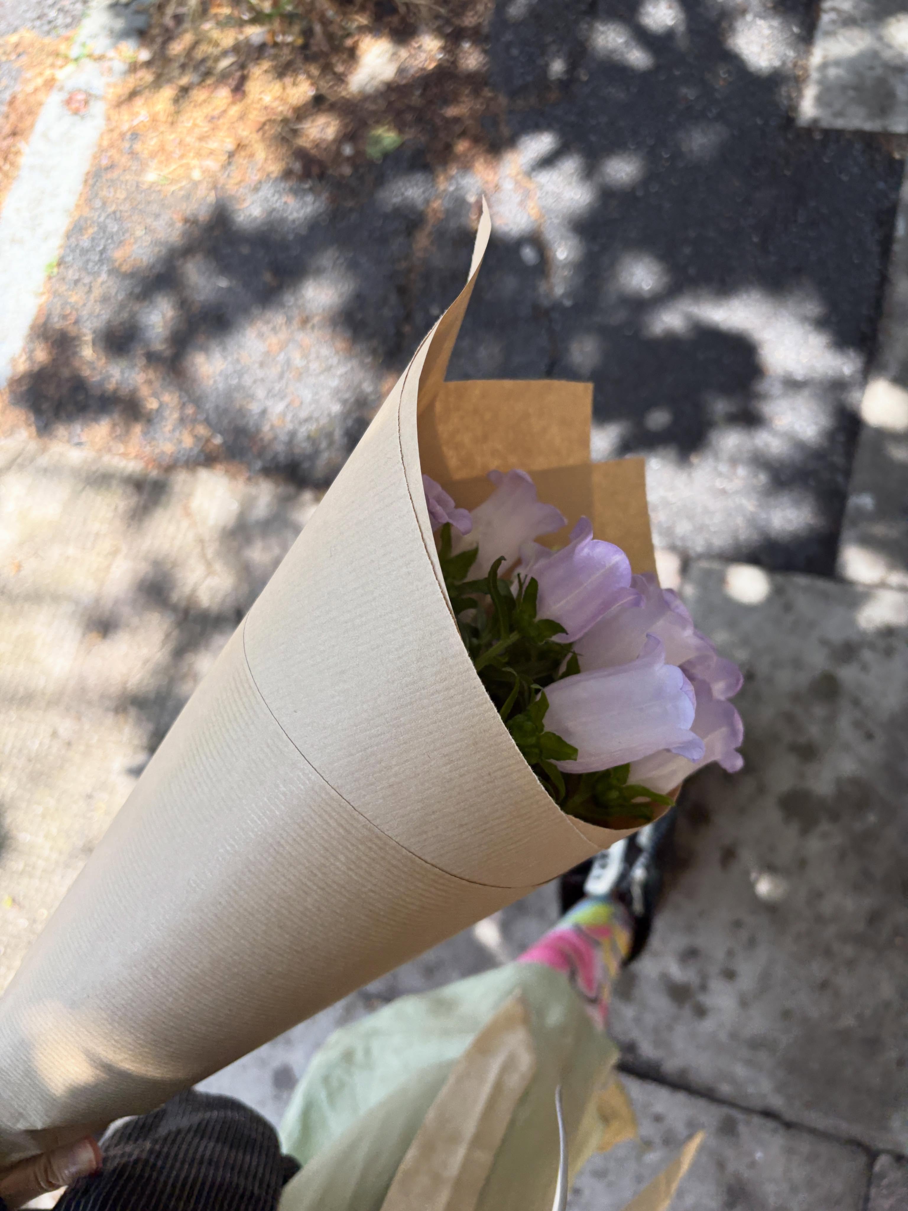 유럽 투어 곧 끝나가는데… 시원 섭섭 마음에 사진 아껴두지말고 맘껏 올려야지🙈🐞🌱🌷🫧