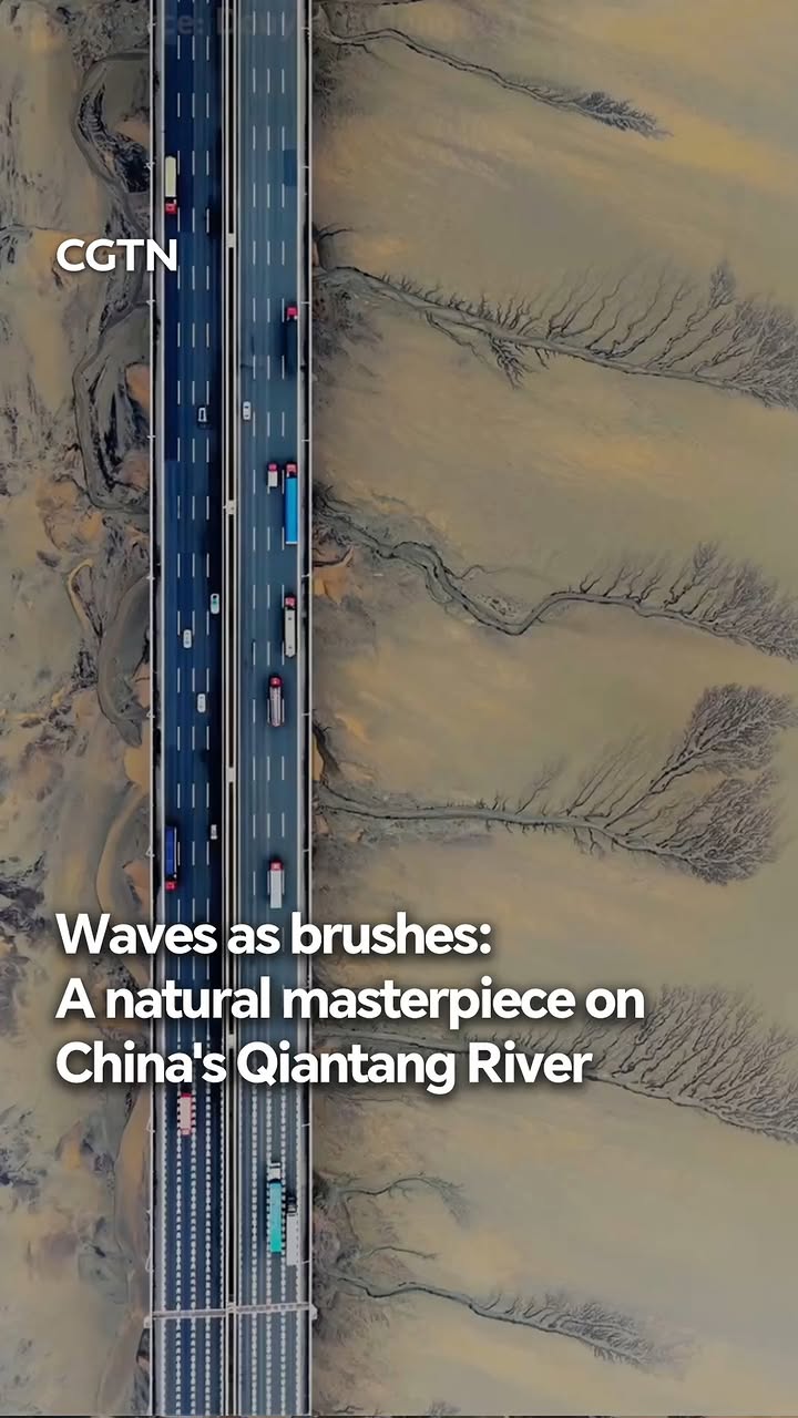 During the Qingming Festival, or Tomb Sweeping Day, tidal trees emerged over the Qiantang River in east China's Zhejiang Province. Viewed from above, the branching currents under the Jiashao Bridge resembled a traditional Chinese ink wash painting splashed across the river – an artwork of nature sketching in the estuary. #CoolChina #cgtnreels